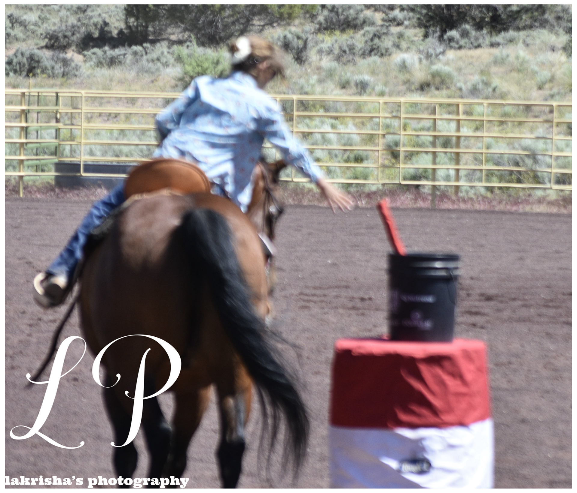 6-16-24 Gymkhana