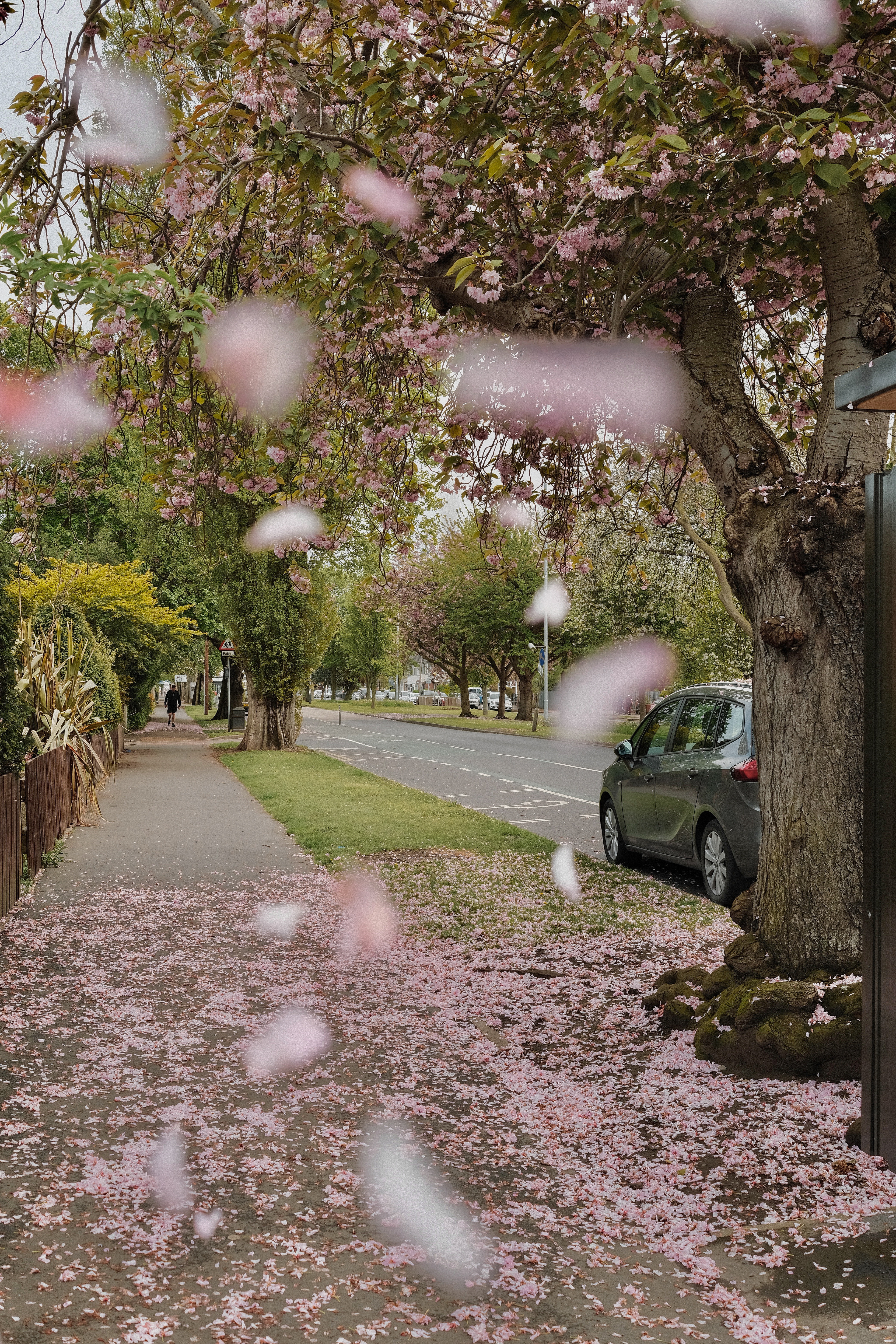 shot on - fujifilm xe4