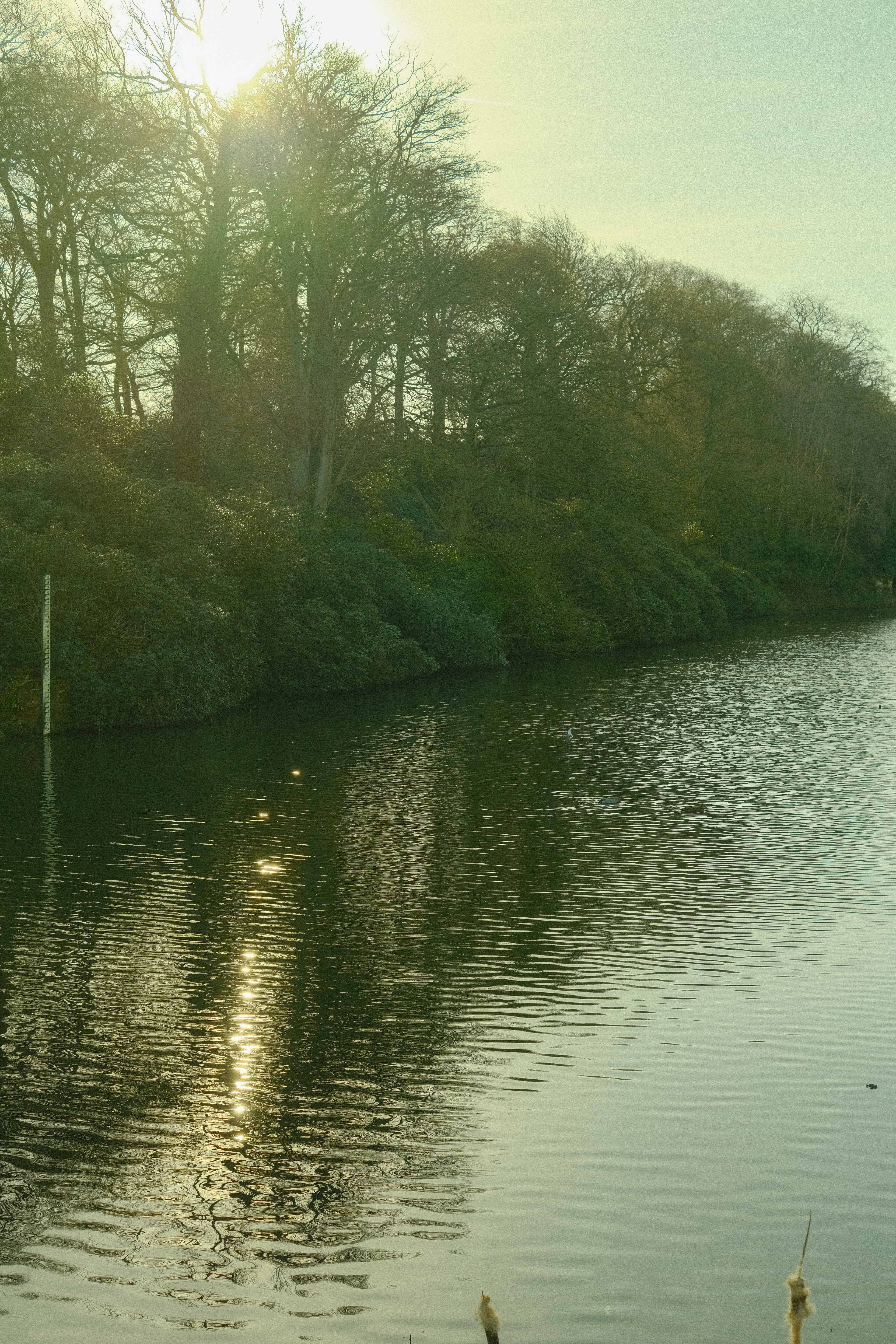 shot on - fujifilm xe4