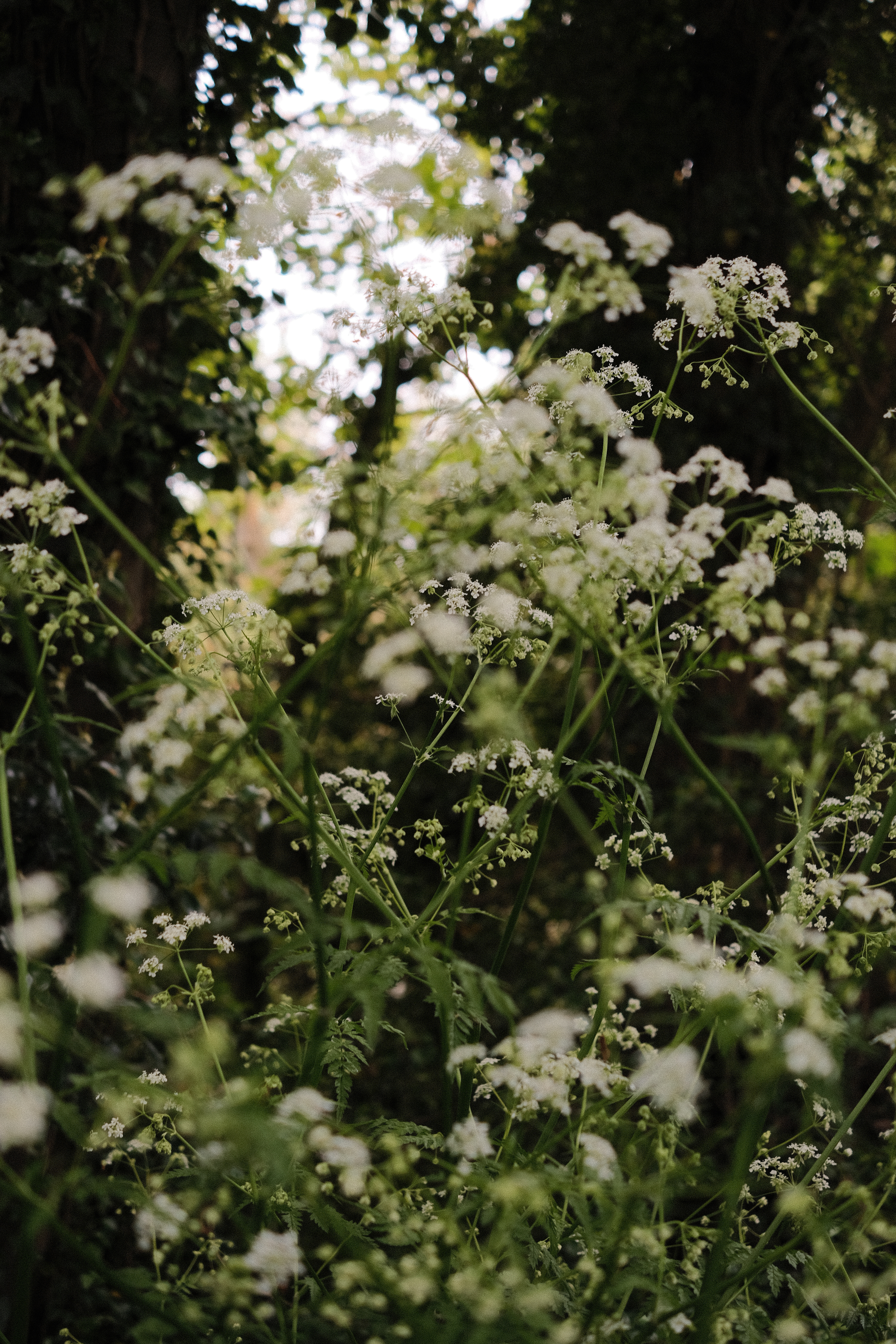 shot on - fujifilm xe4