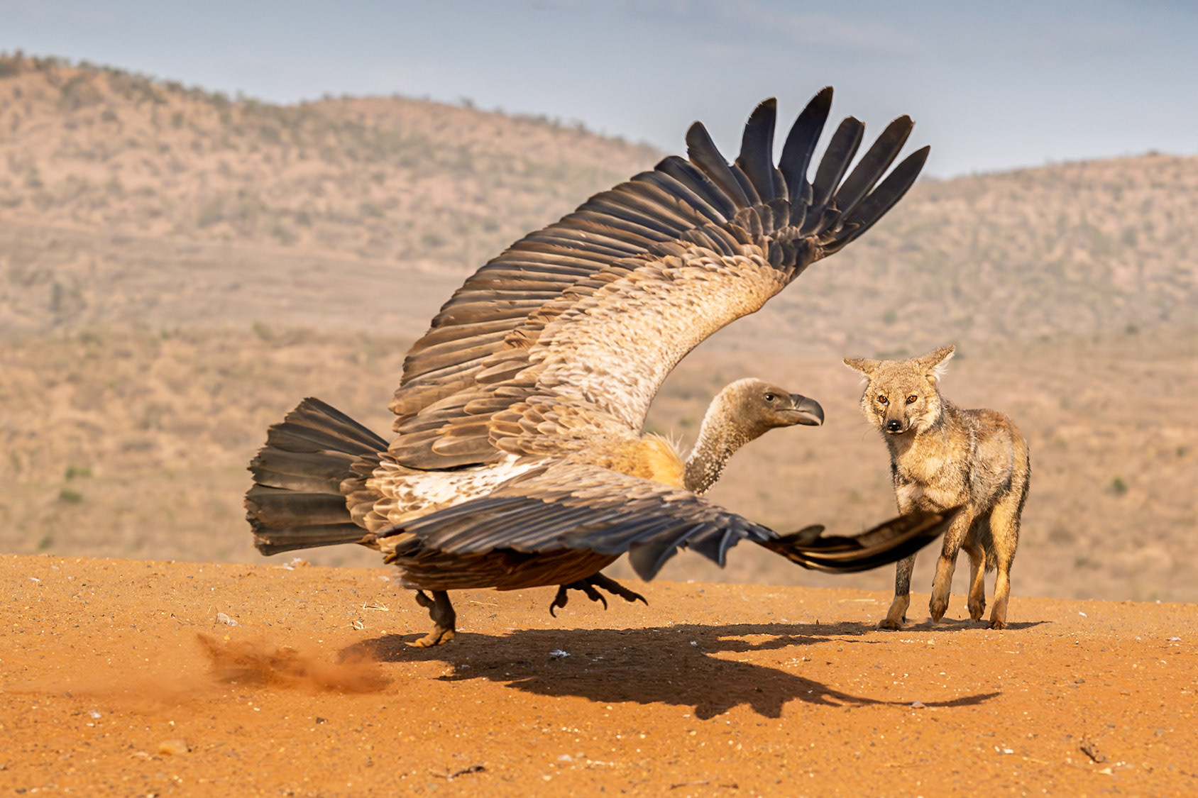 The Unexpected Guest 2026 RPS London Region Members Print Exhibition