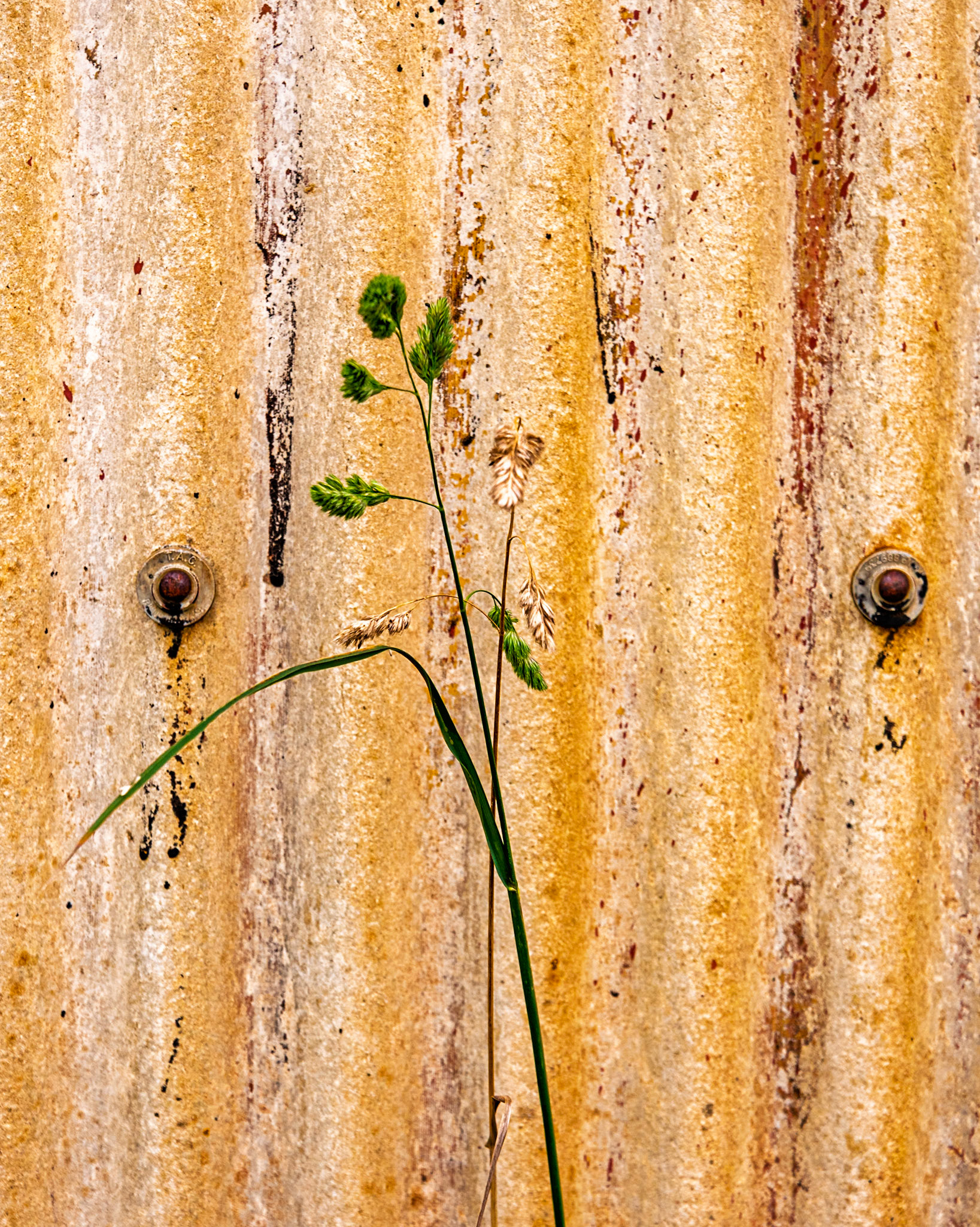 Western Ross, Scotland