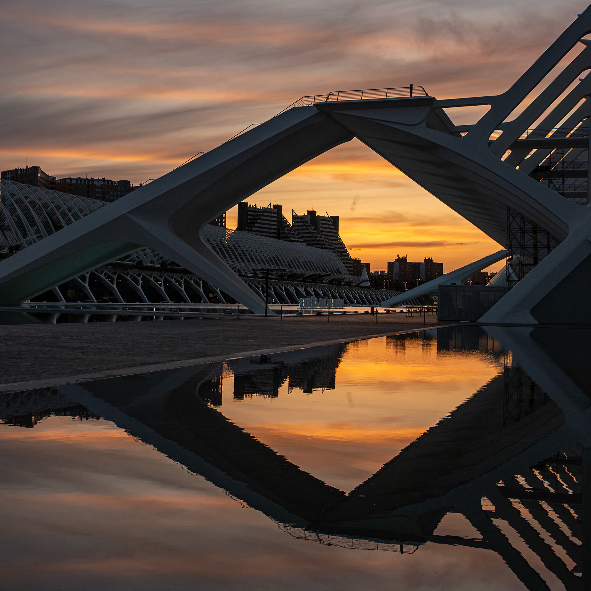 City of Arts & Science after sunset