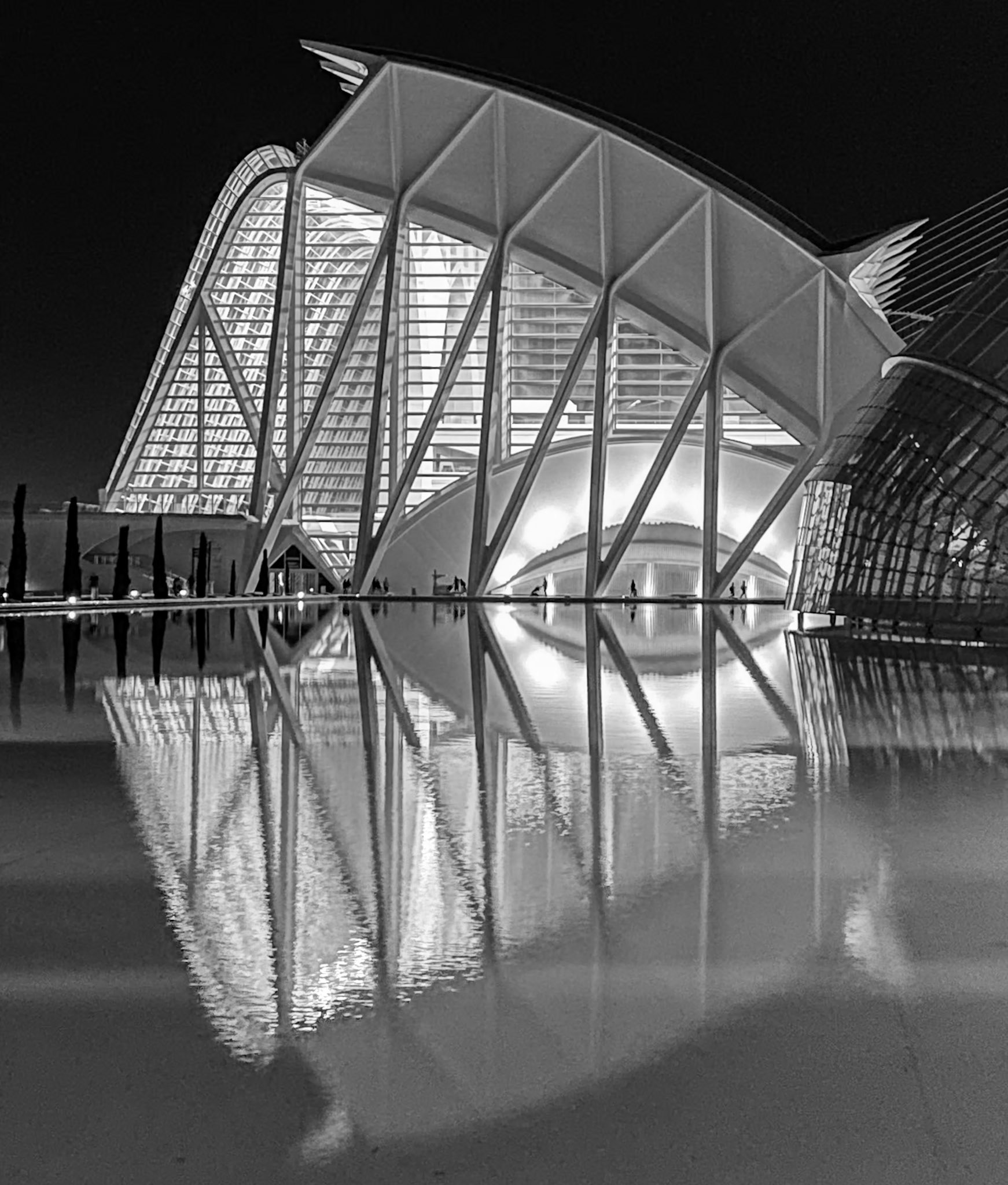 Museum, City of Arts & Science, Valencia, Spain