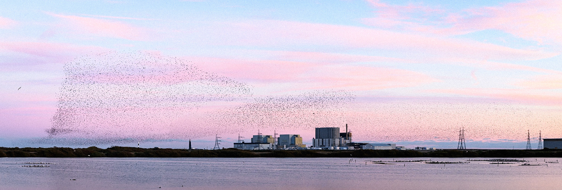 Starling Murmuration 2021/22 Royal Photographic Society London Region Members Print Exhibition