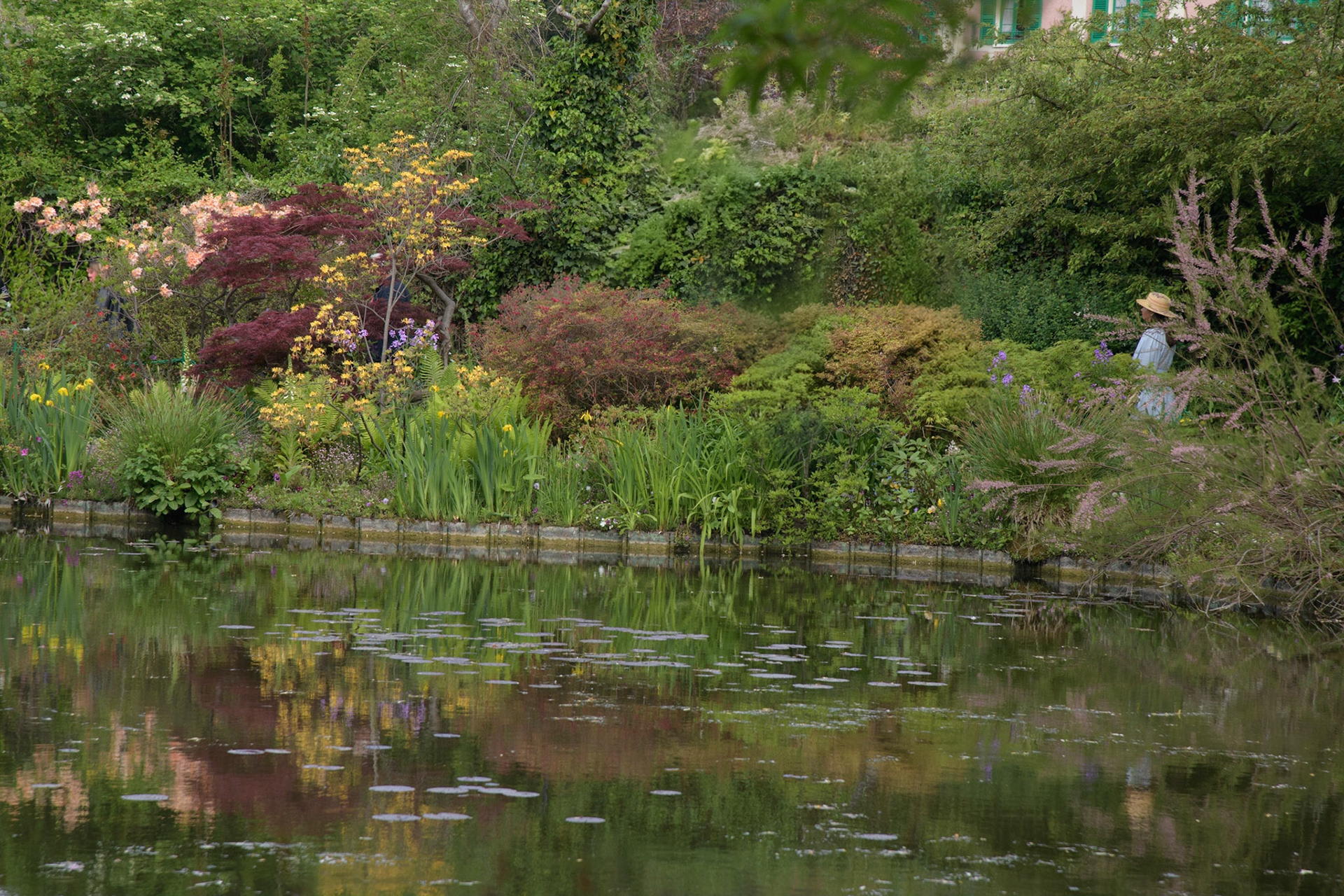 Giverney Monet's garden
