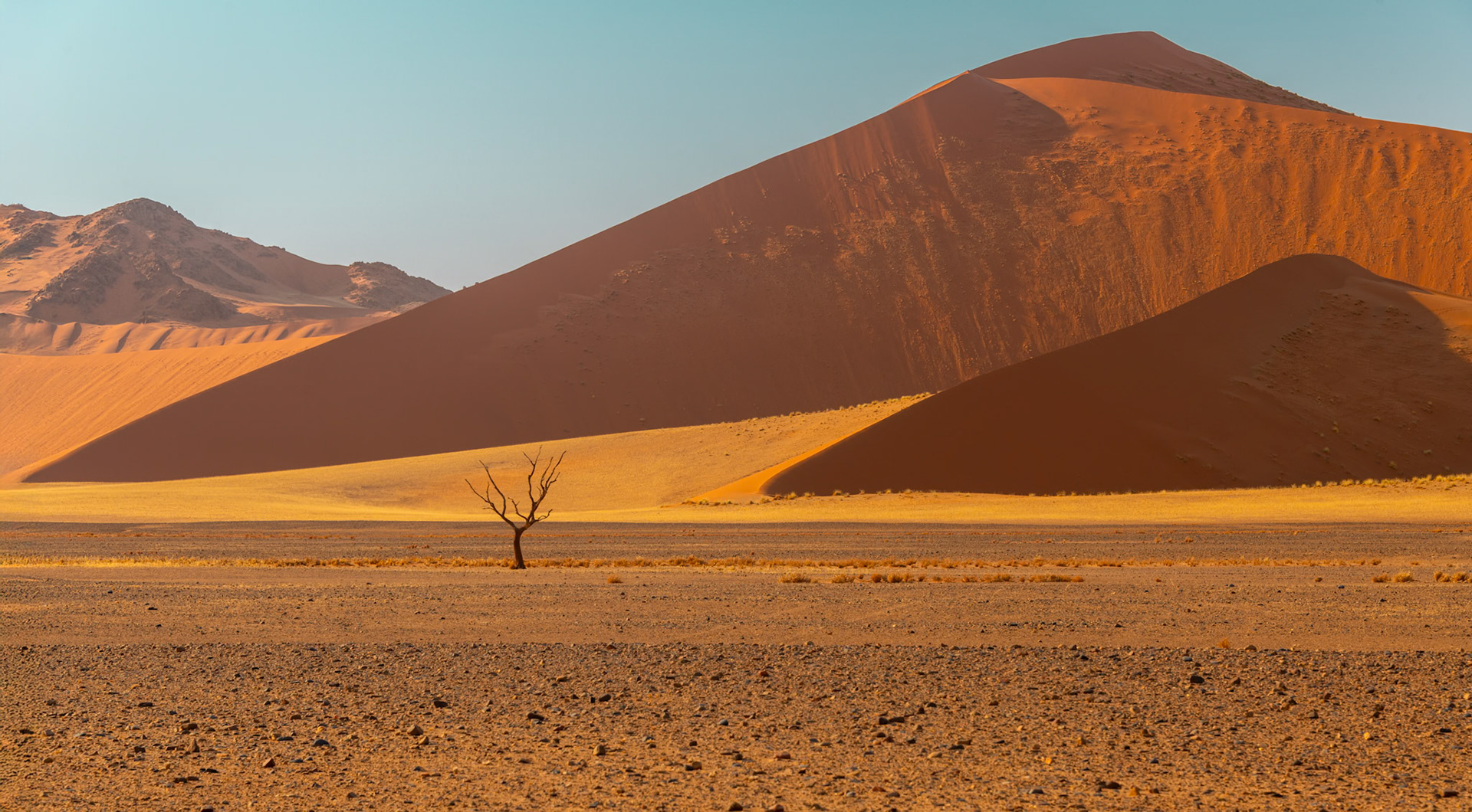 Deadvlei, Sossusvlei region Namibia 2018