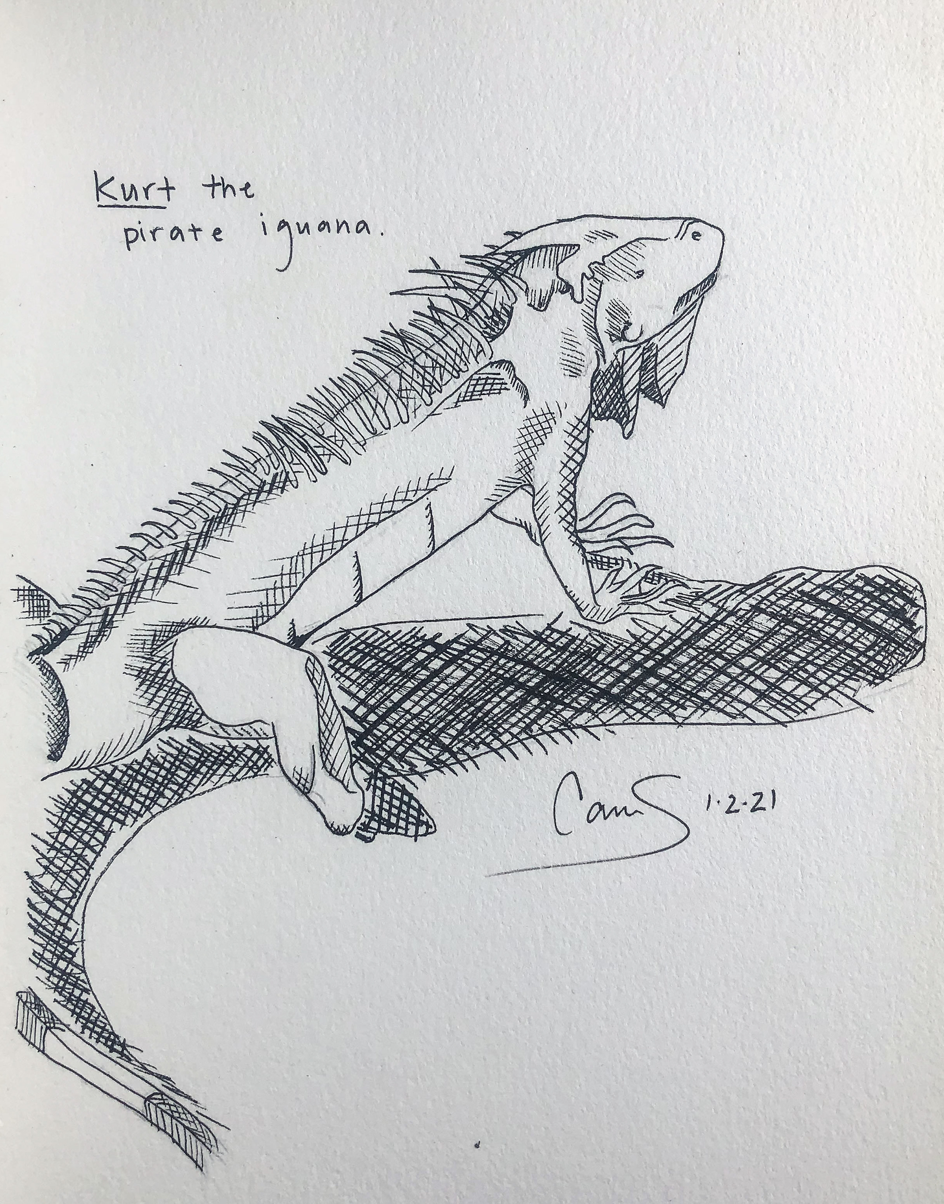"Kurt, the Pirate Iguana", 5.25 in x 6 in, Micron on Paper, 2021