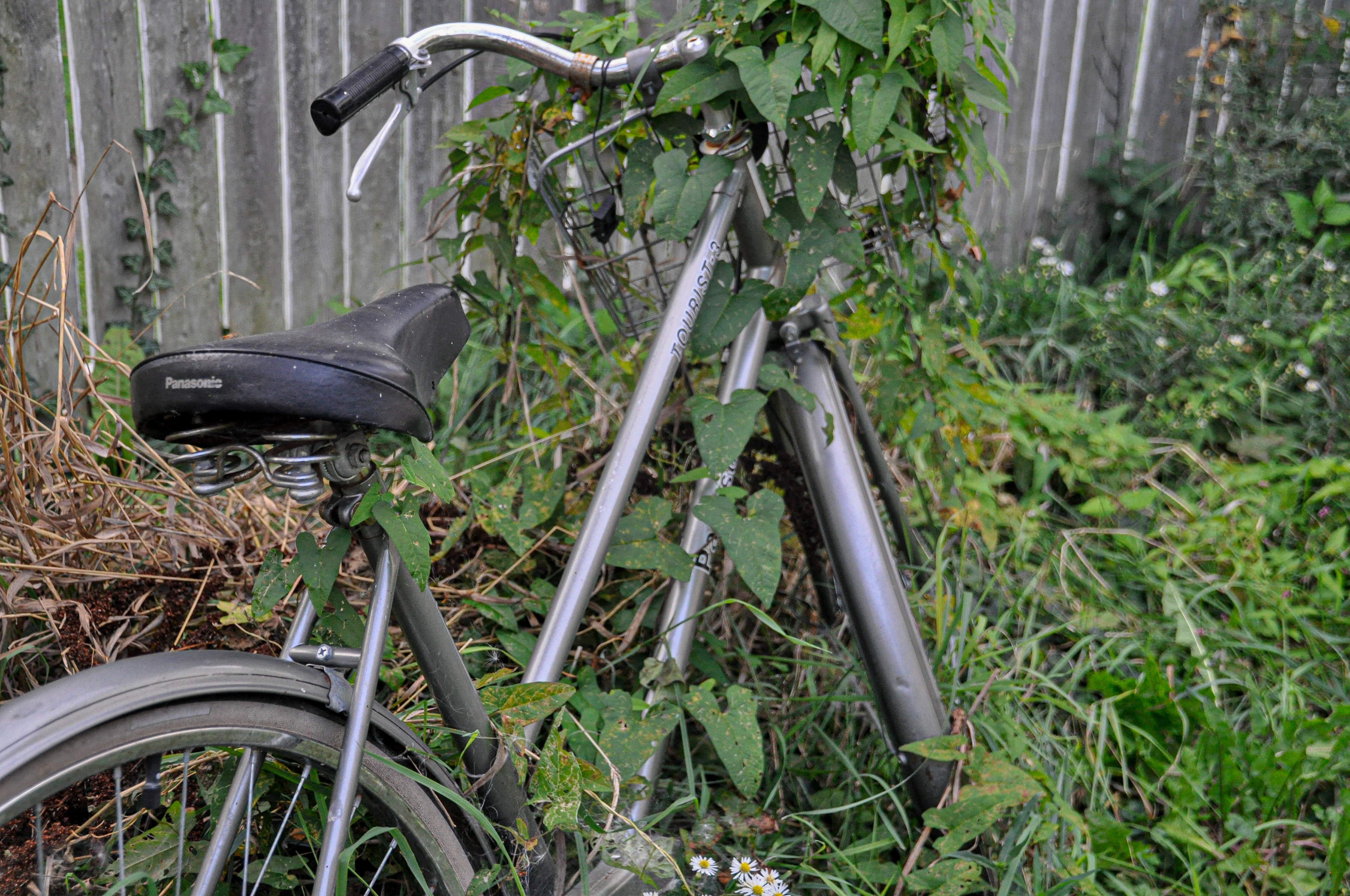 "Abandoned", 2020