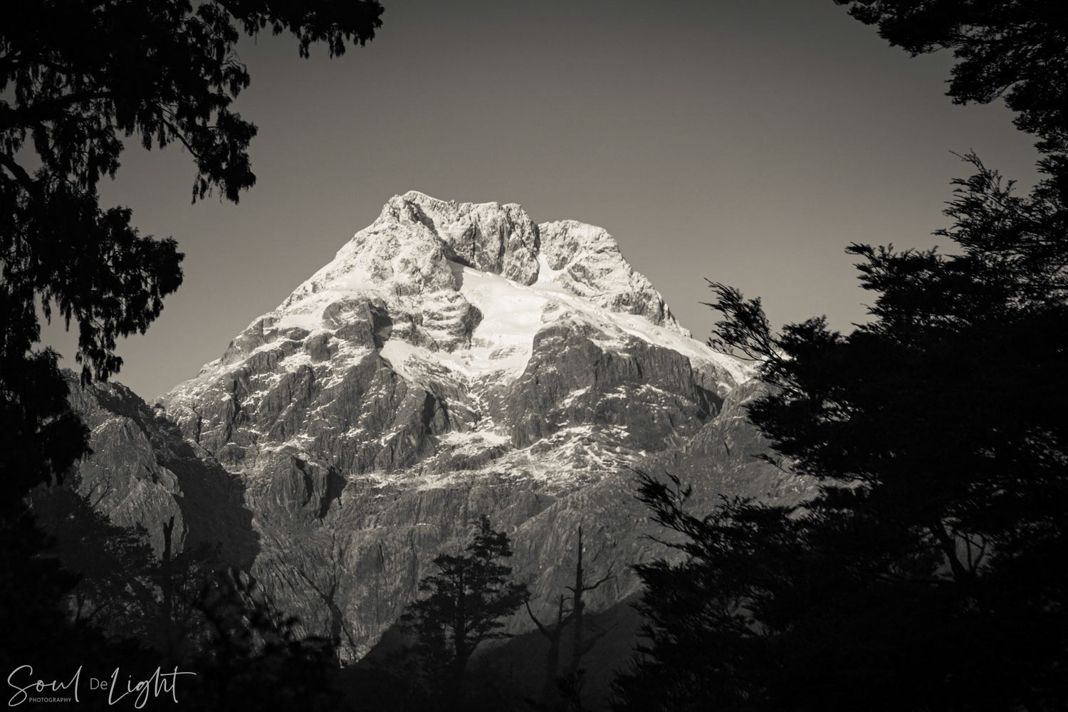 Mt Madeline, Fiordland National Park