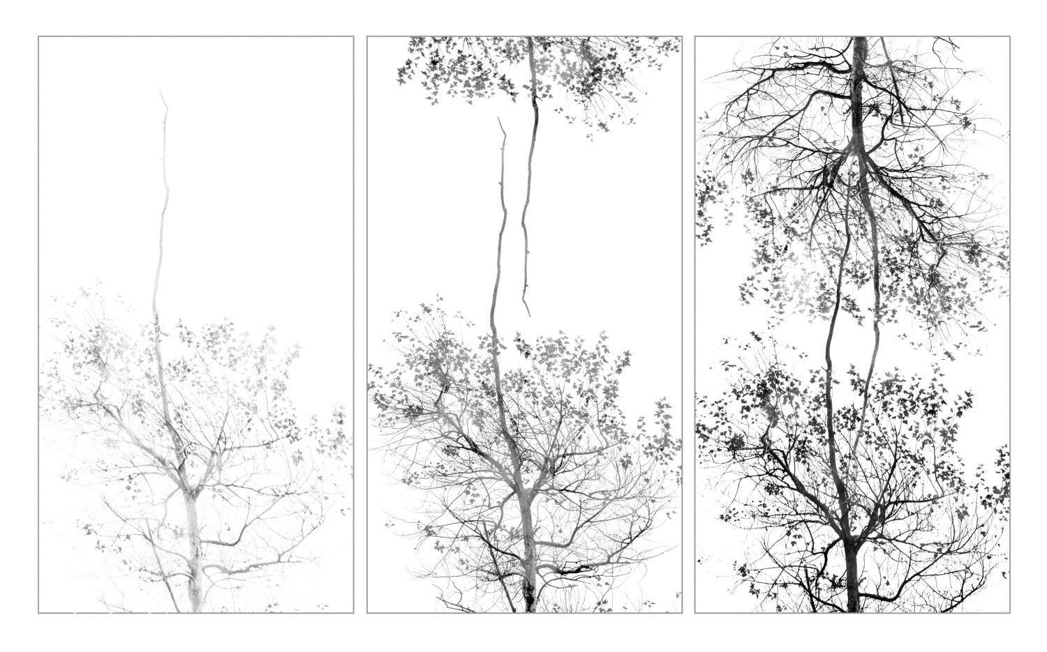 Stronger Together - NZIPP IRIS Awards 2022 - Silver Distinction