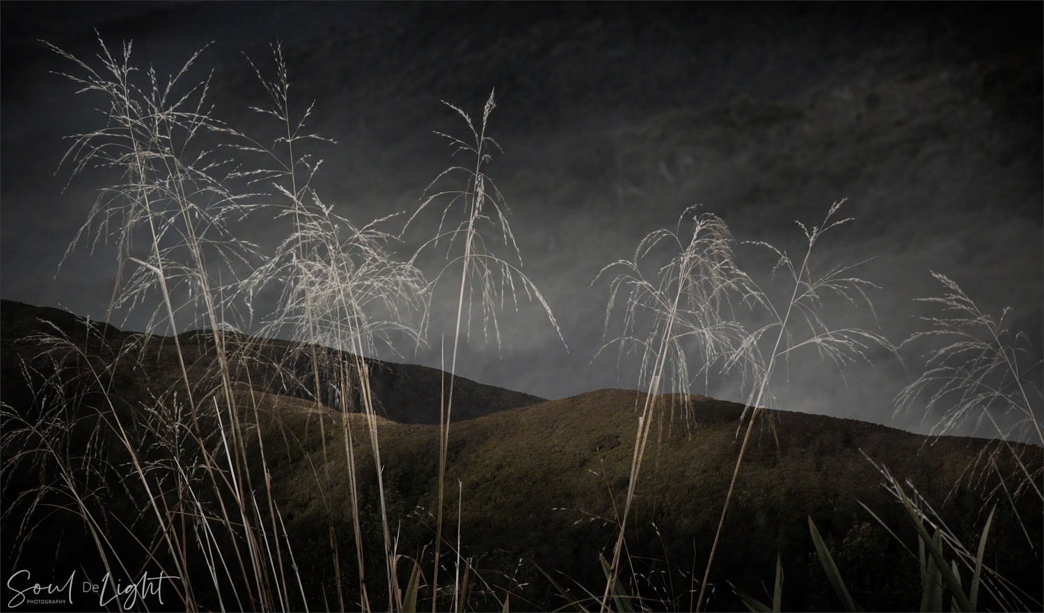 Over the Hills - NZIPP IRIS Awards 2022 - Bronze