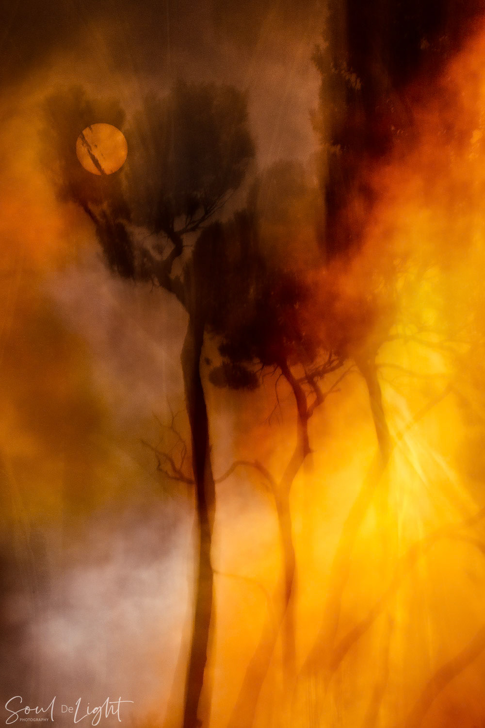 FIre V - NZIPP IRIS Awards 2023 - Silver