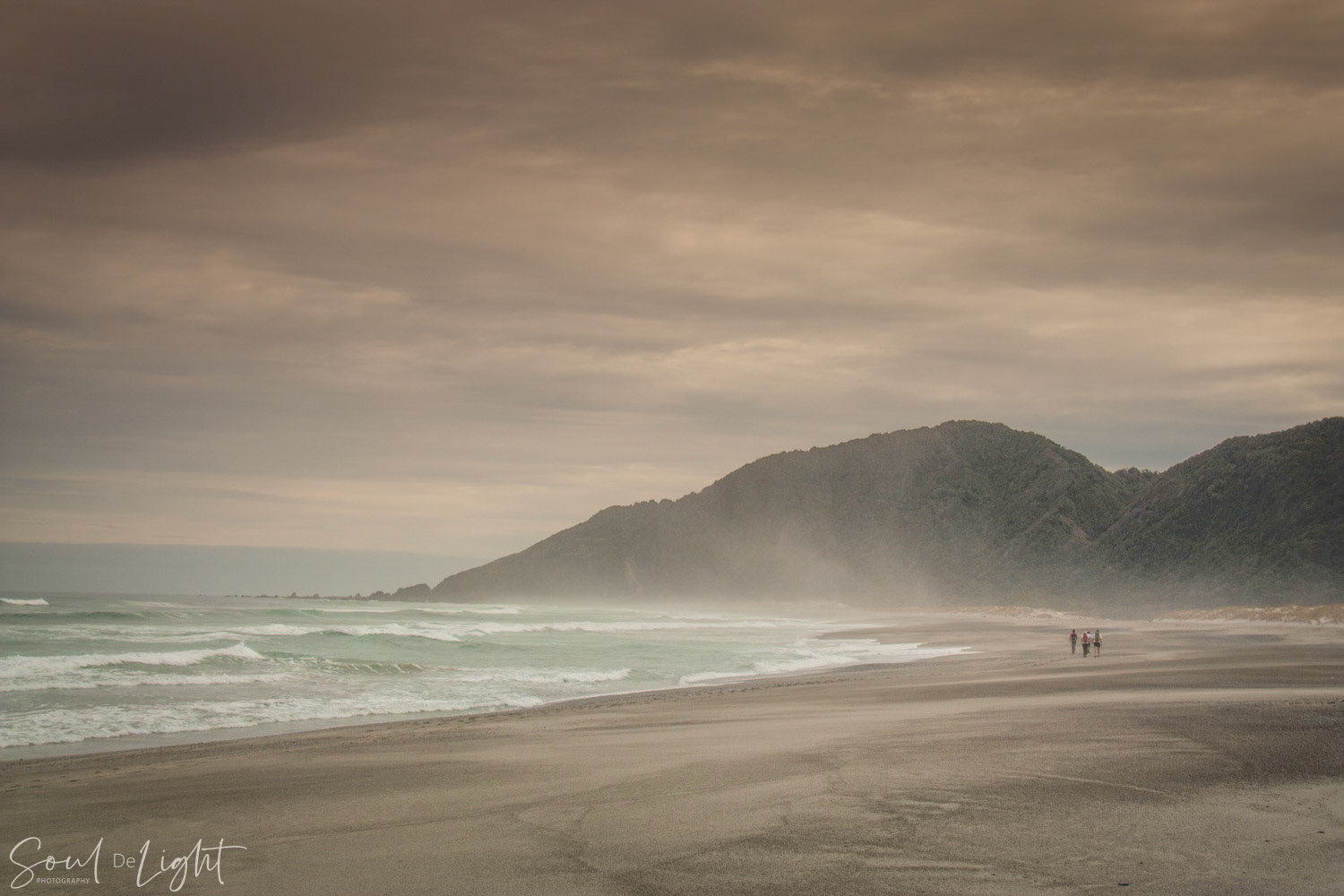 Hollyford, Fiordland