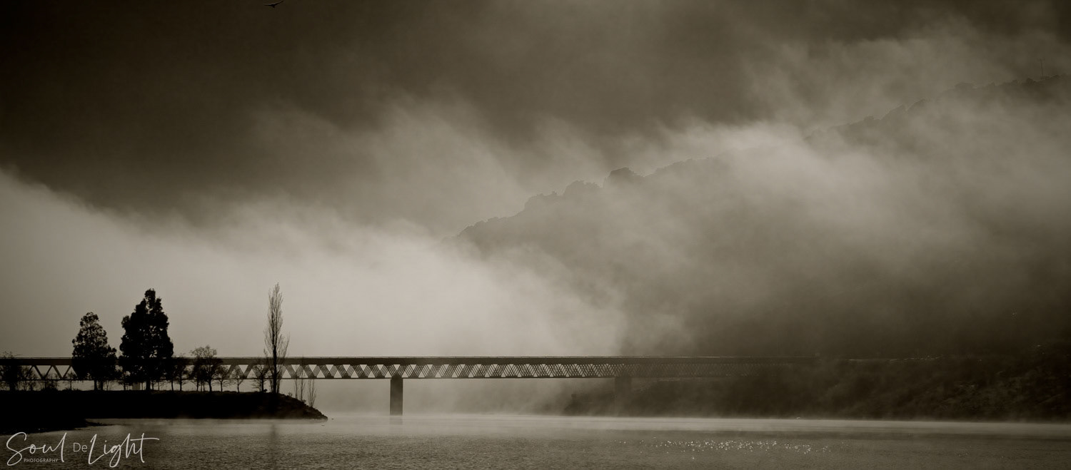 Into the Mist - NZIPP IRIS Awards 2020 - Bronze