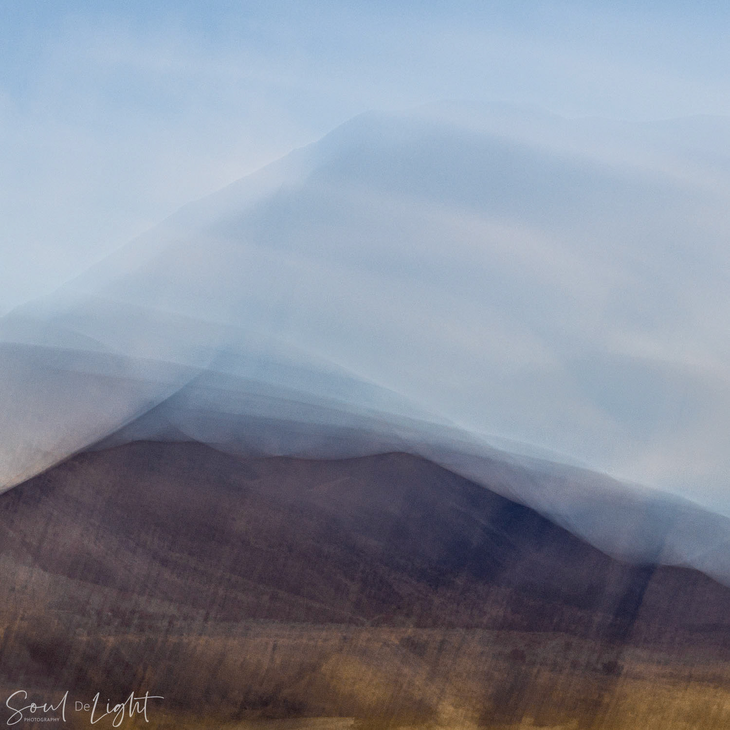 Them There Hills - NZIPP IRIS Awards 2024 - Bronze