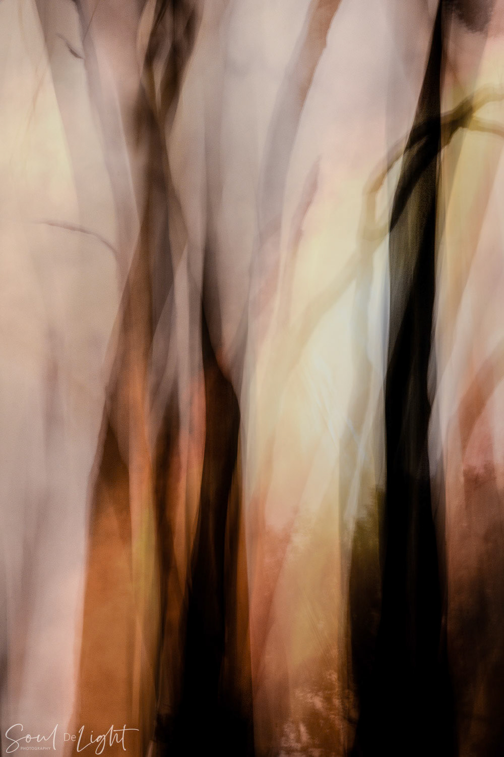 Haze I