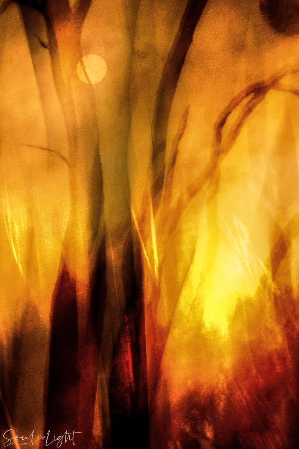 Fire I