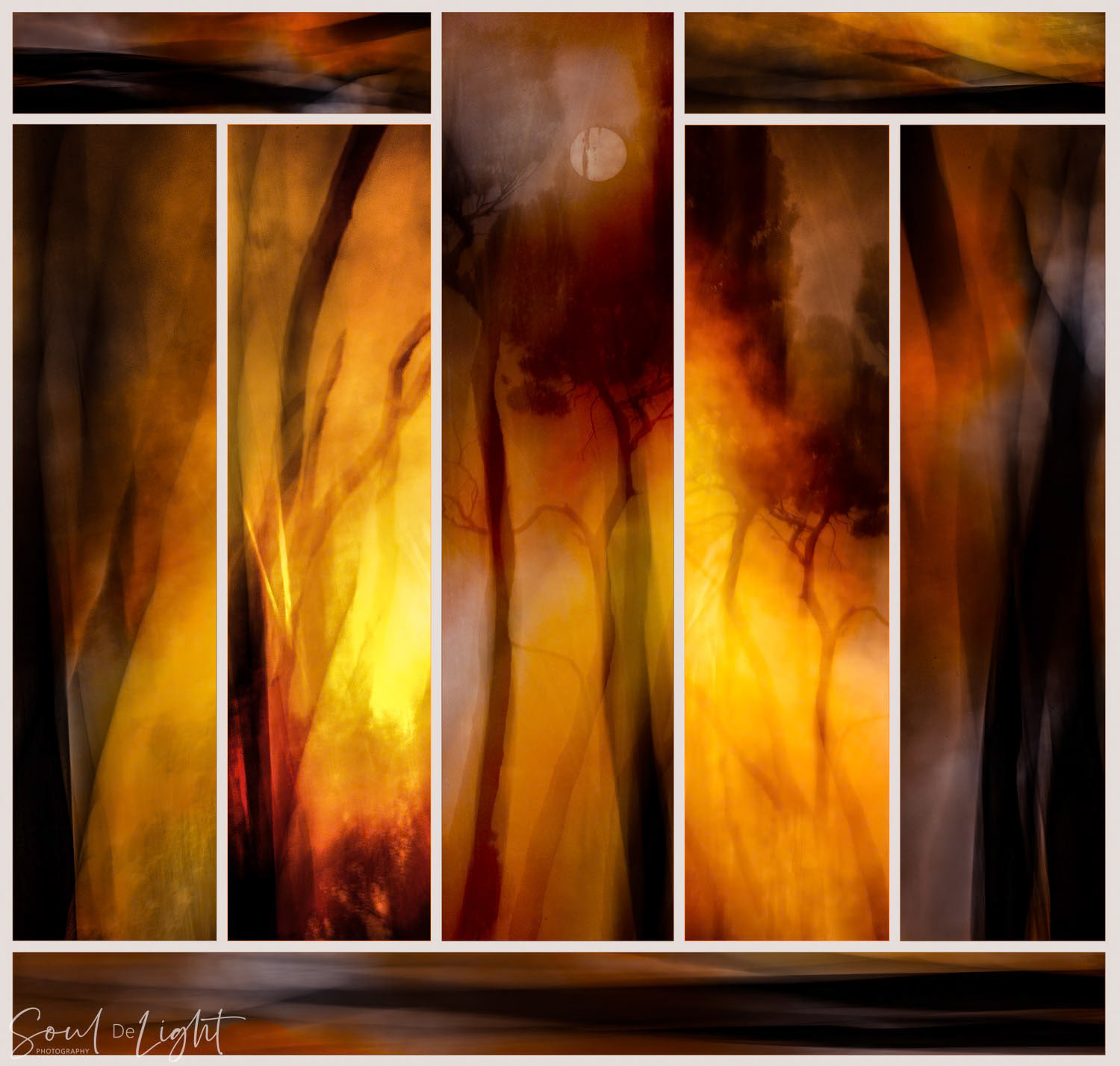 Fire Ferocity - NZIPP IRIS Awards 2022 - Gold