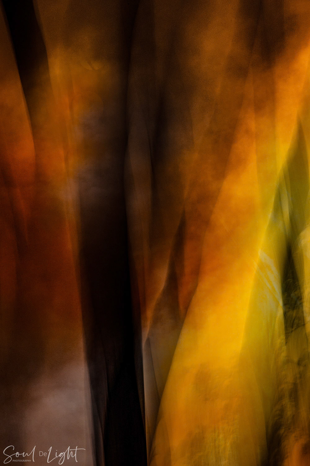 Fire IV