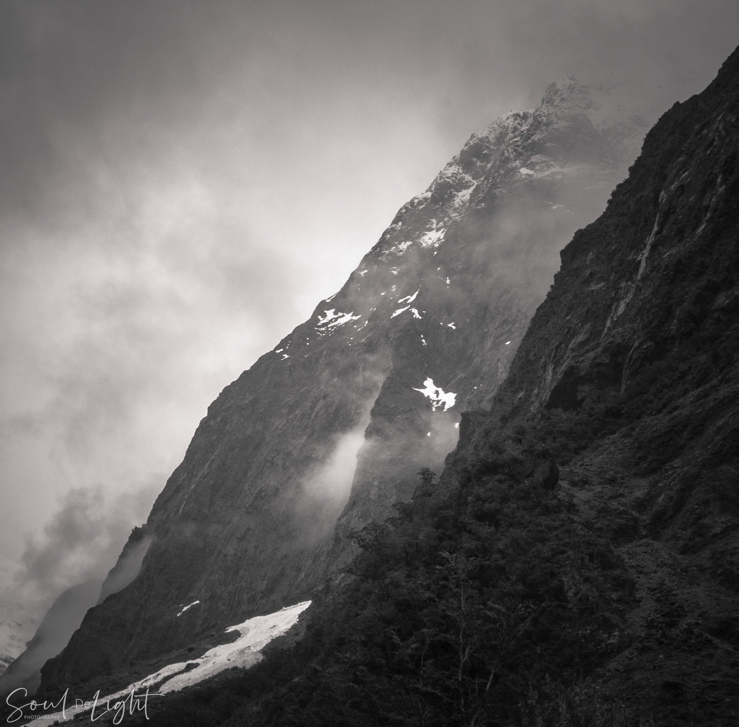 Fiordland II