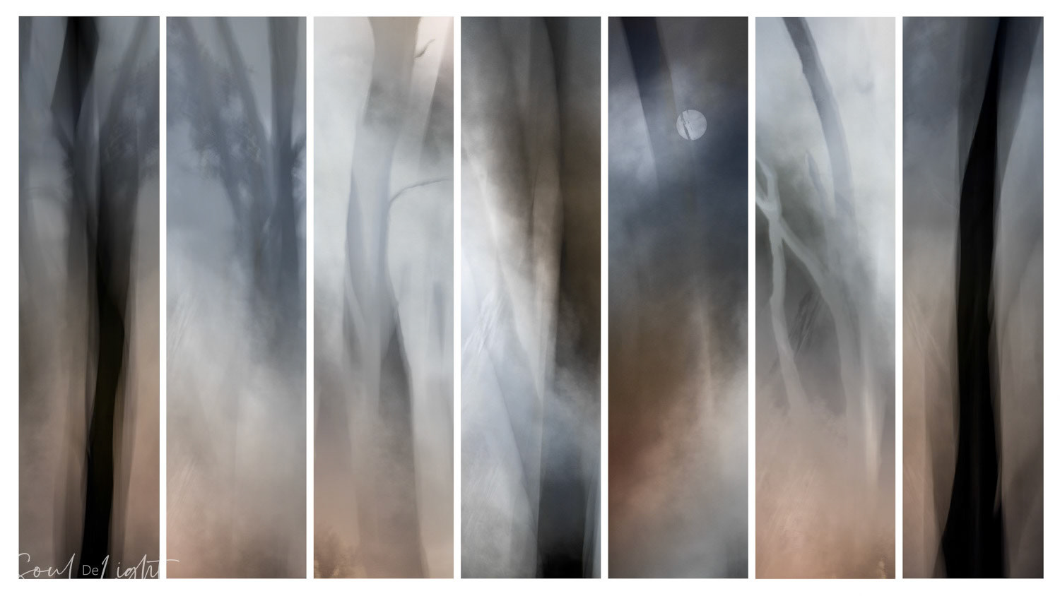 Smouldering Remnants - NZIPP IRIS Awards 2022 - Silver Distinction