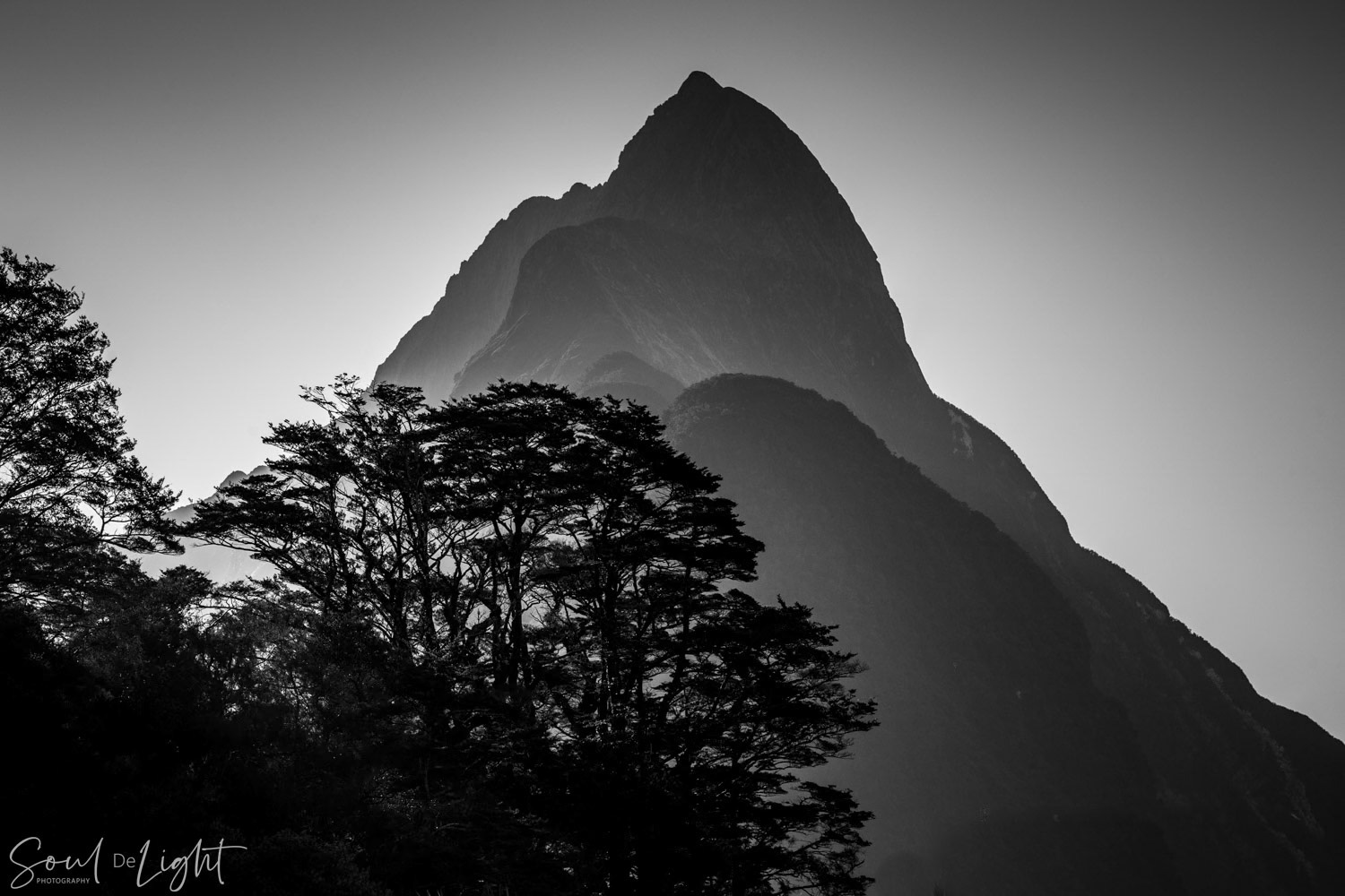 Mitre Majesty - NZIPP Asia Pacific Photography Awards 2021 - Highly Commended