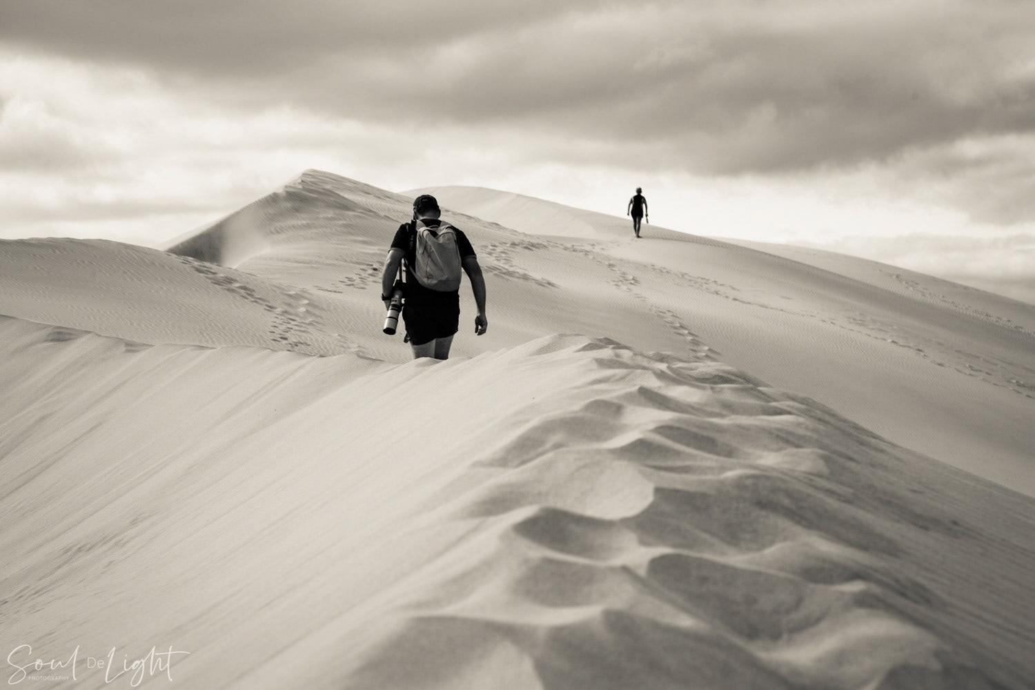 Sand Dune Summit - NZIPP IRIS Award 2021 - Bronze