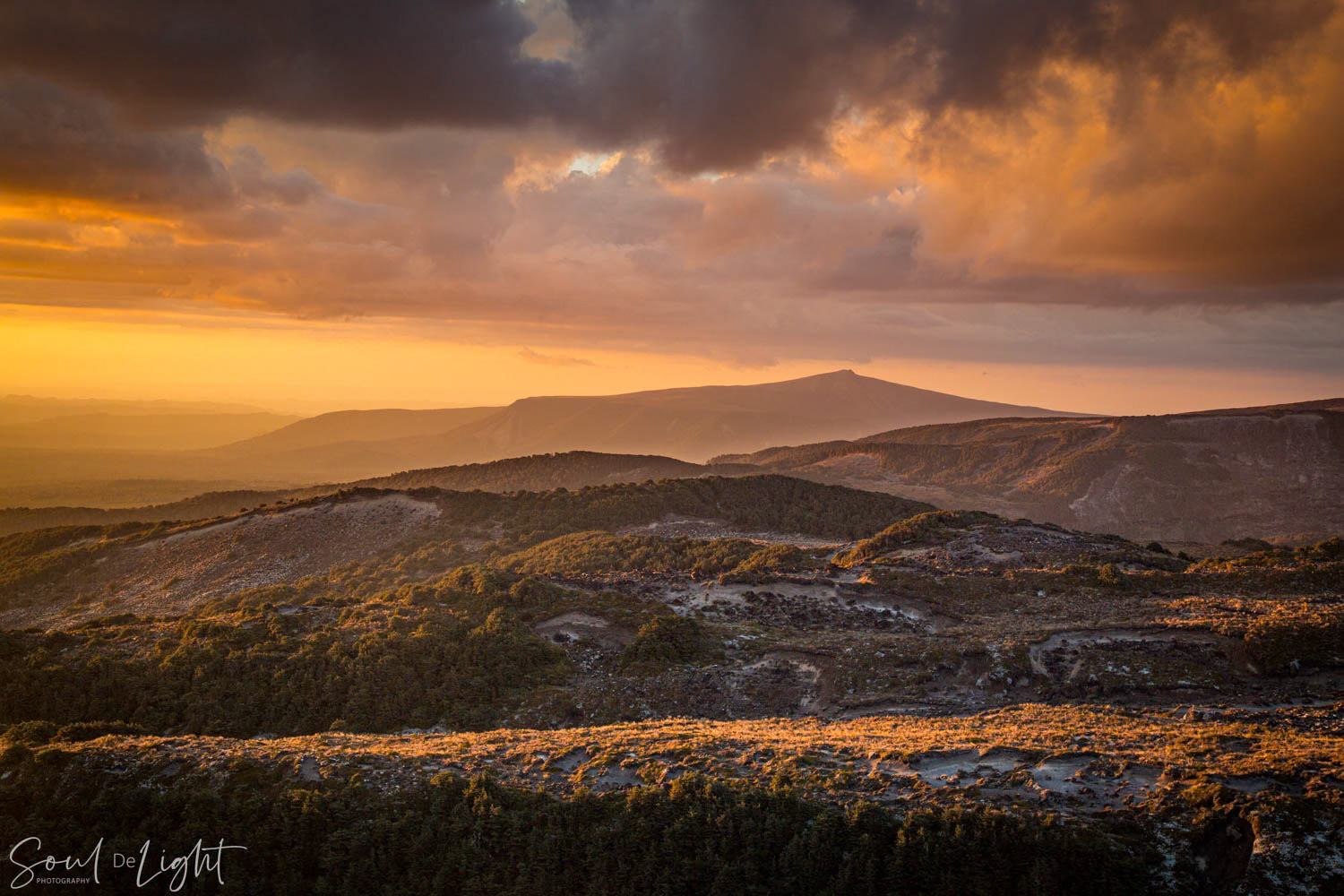 Turoa, Tongariro National Park