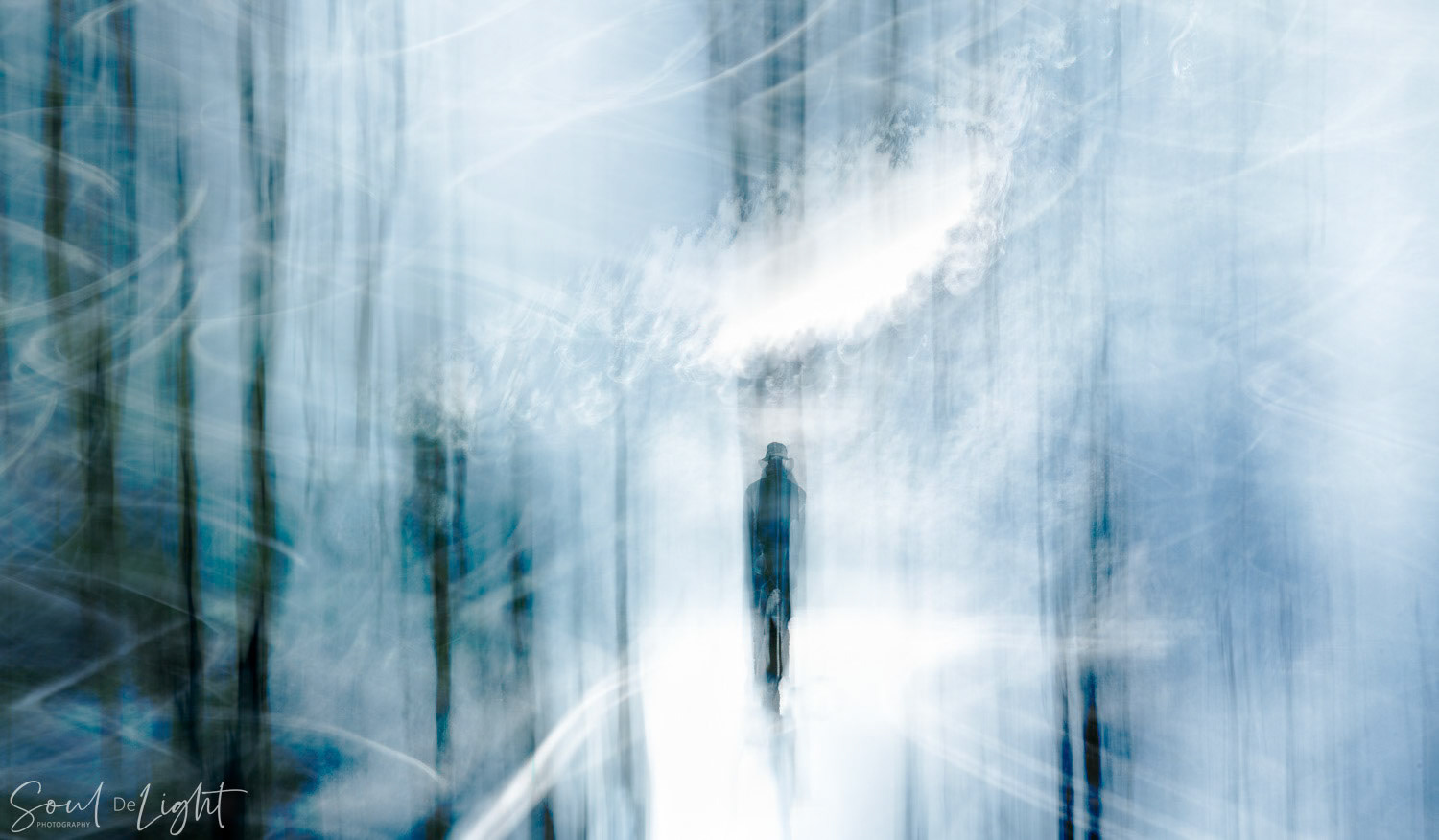 Walkin' in the Rain II - NZIPP IRIS Awards 2023 - Silver Disctinction