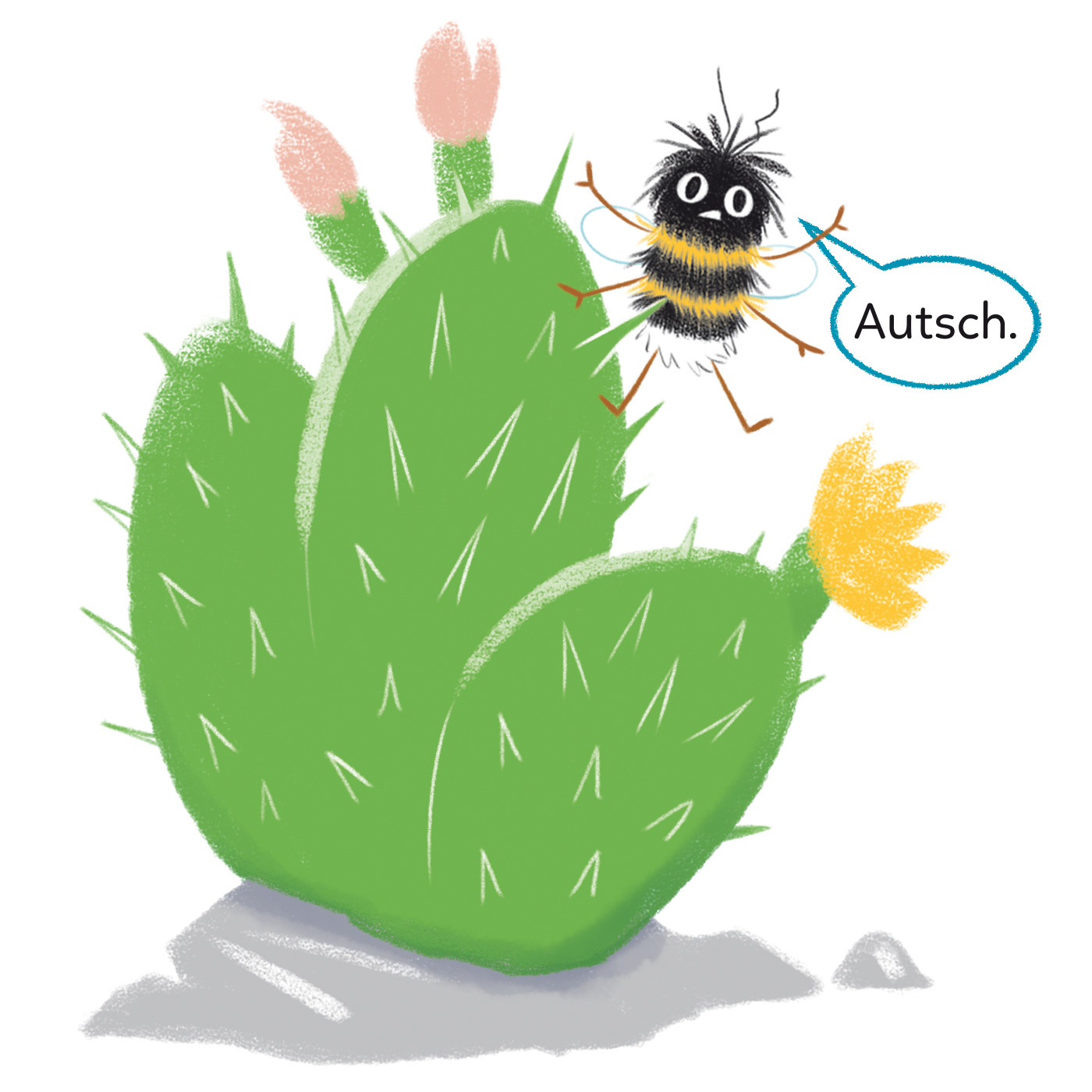 Ausschnitt: Kaktus im Botanischen Garten // detail: cactus in the botanic garden