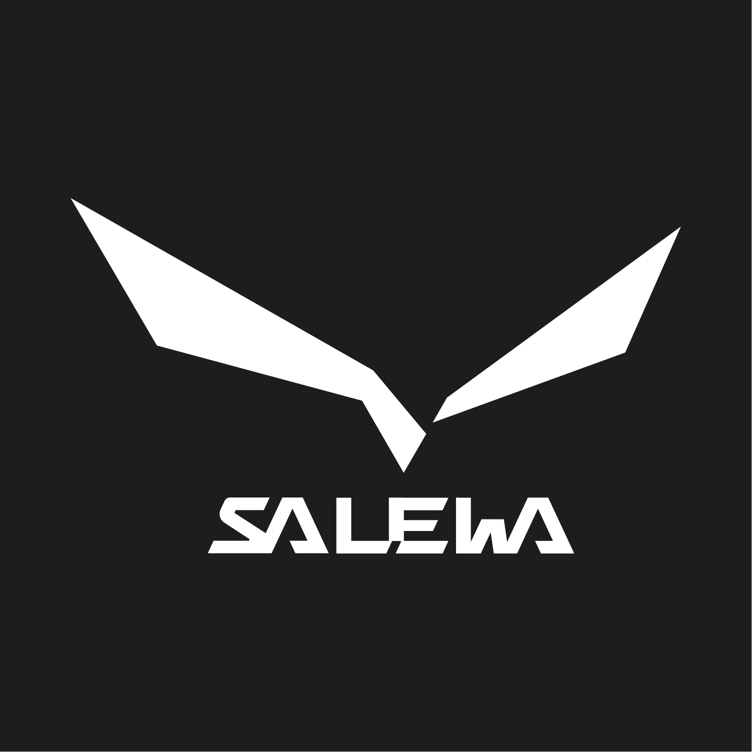 Salewa / Oberalp Group Documentary production in collaboration with Salewa/Oberalp Group, exploring sustainability practices in the Alps. Concept, partner acquisition, direction and full post-production. Bachelor's thesis project — High Peaks – Greener Valleys (2023)