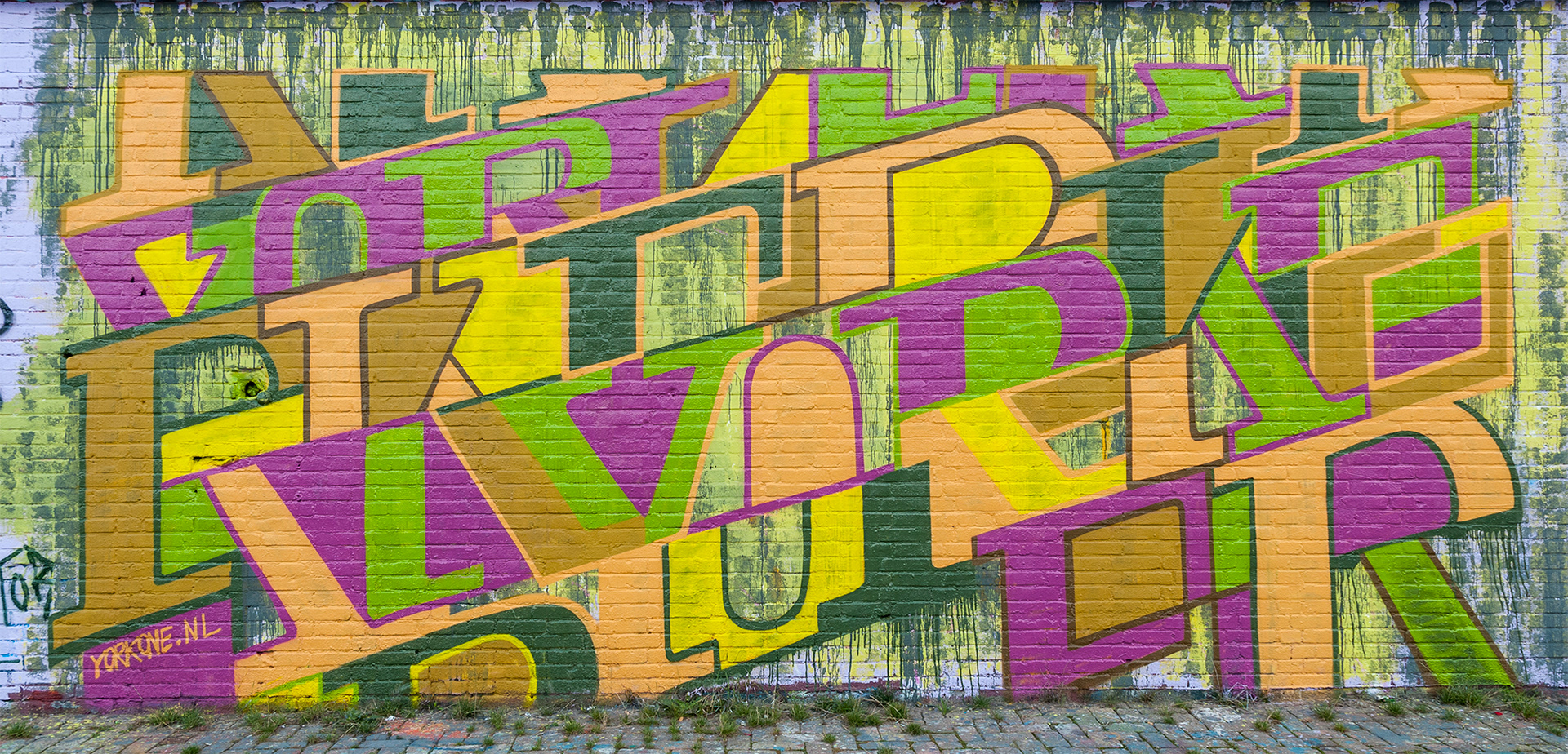YORKONE
