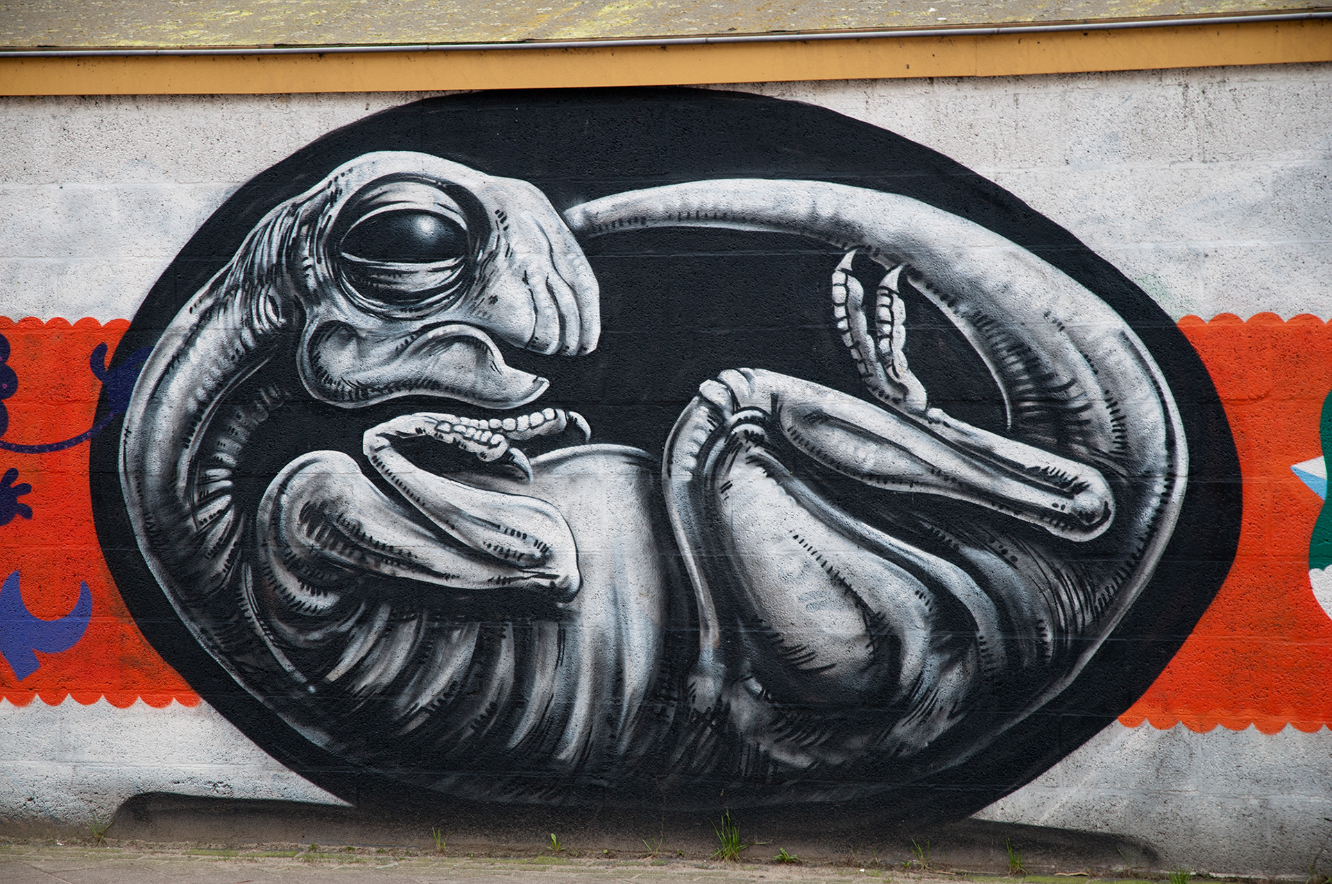 ROA