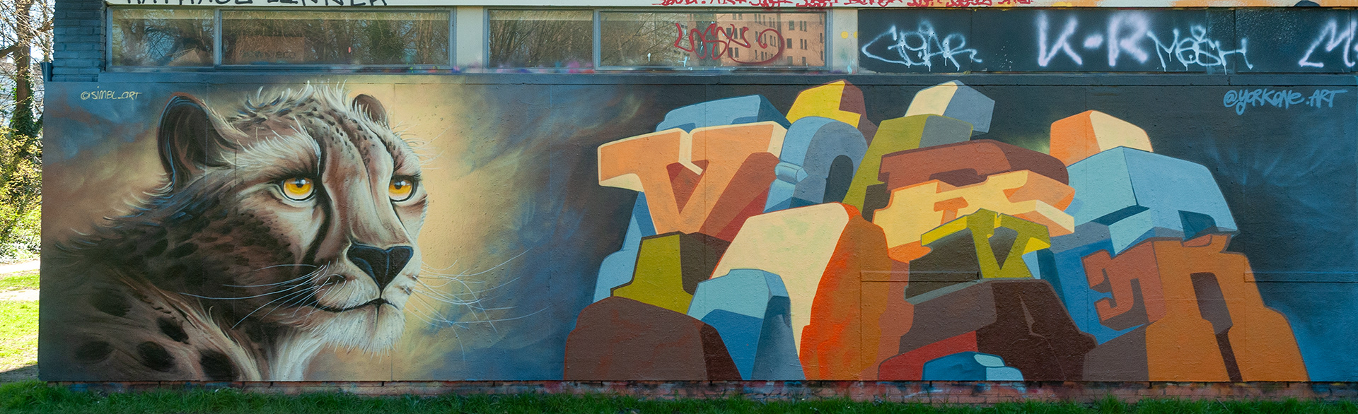 SIMBL and YORKone