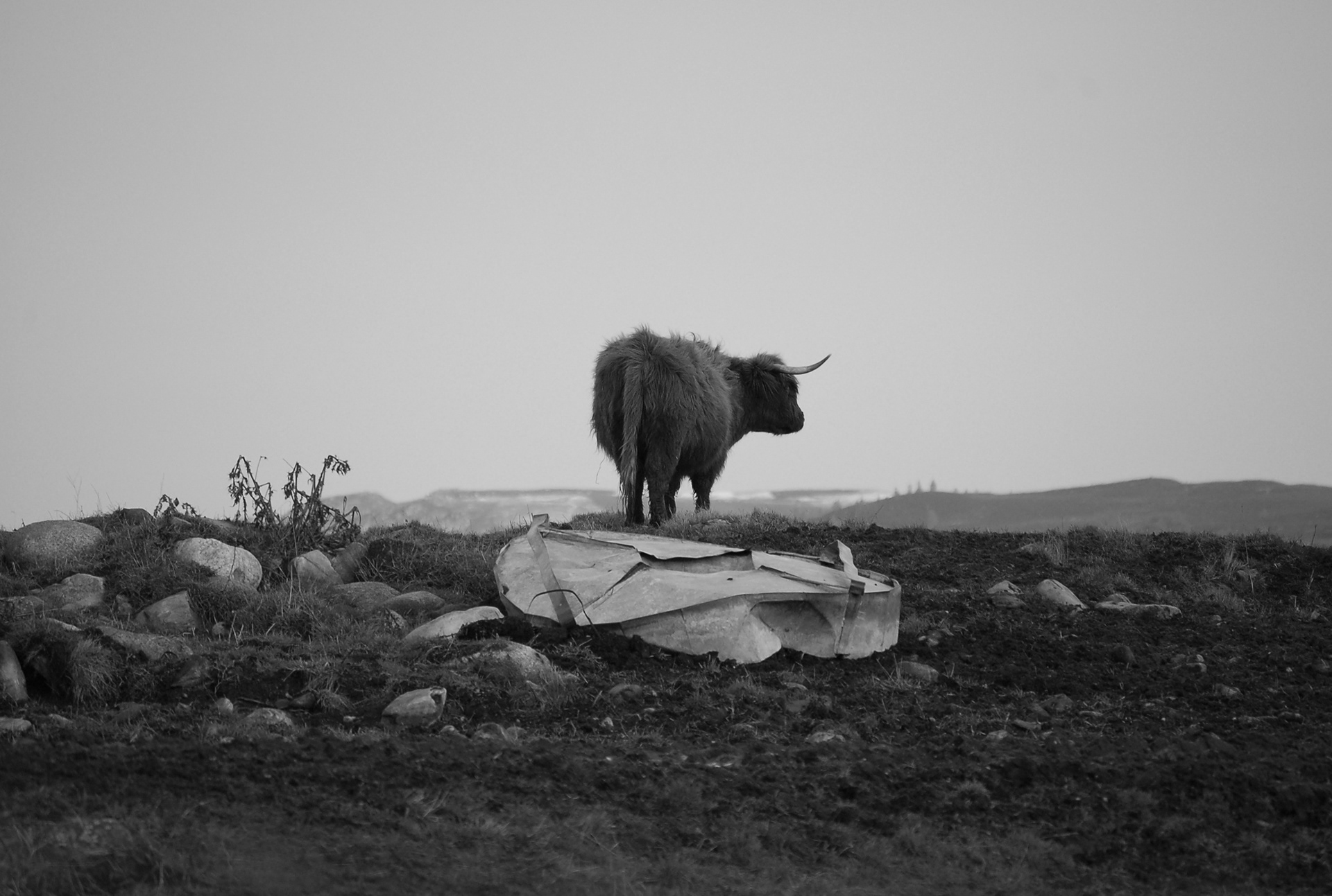 Grantown-on-Spey, Scotland - 2013