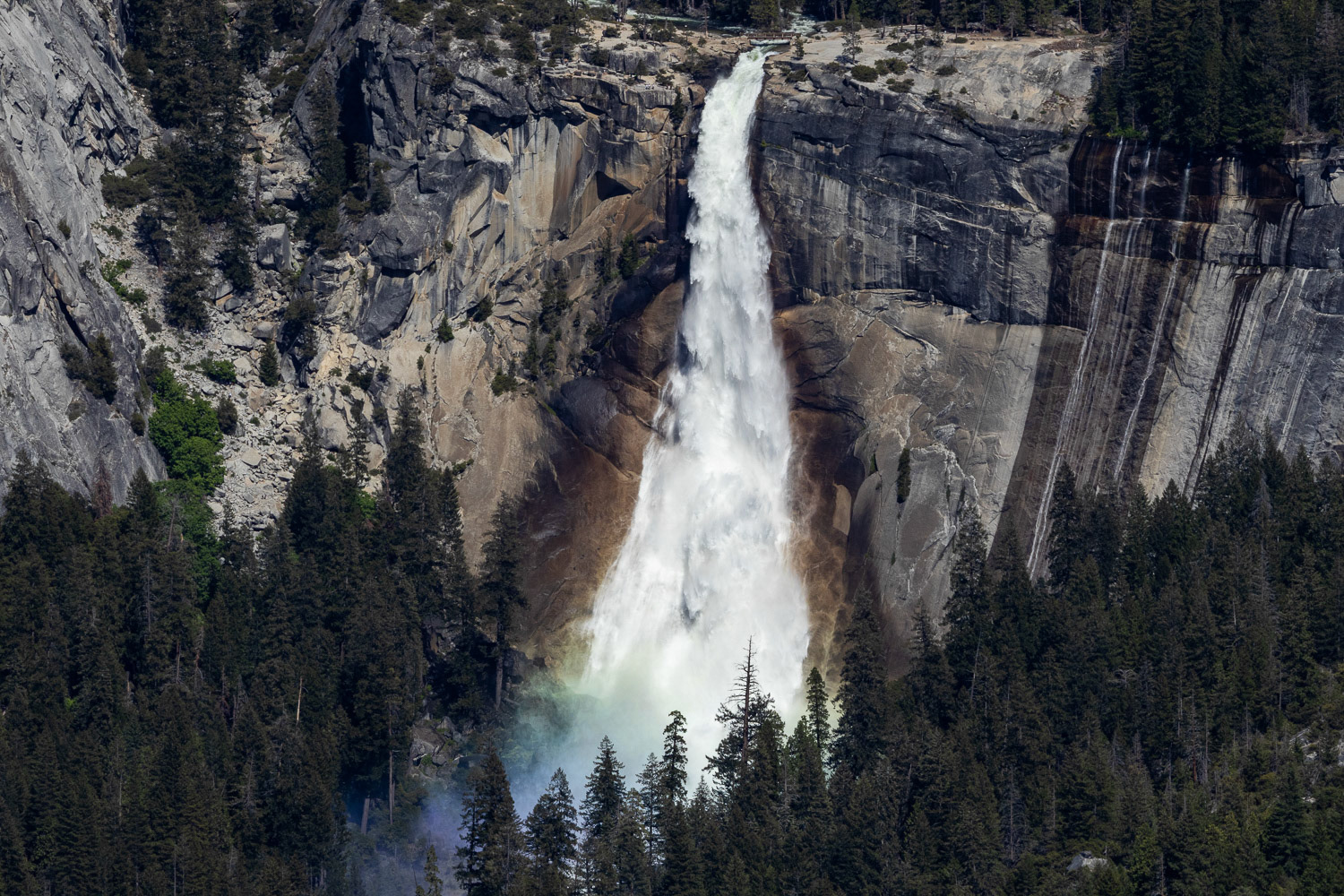 Where sunlight meets mist