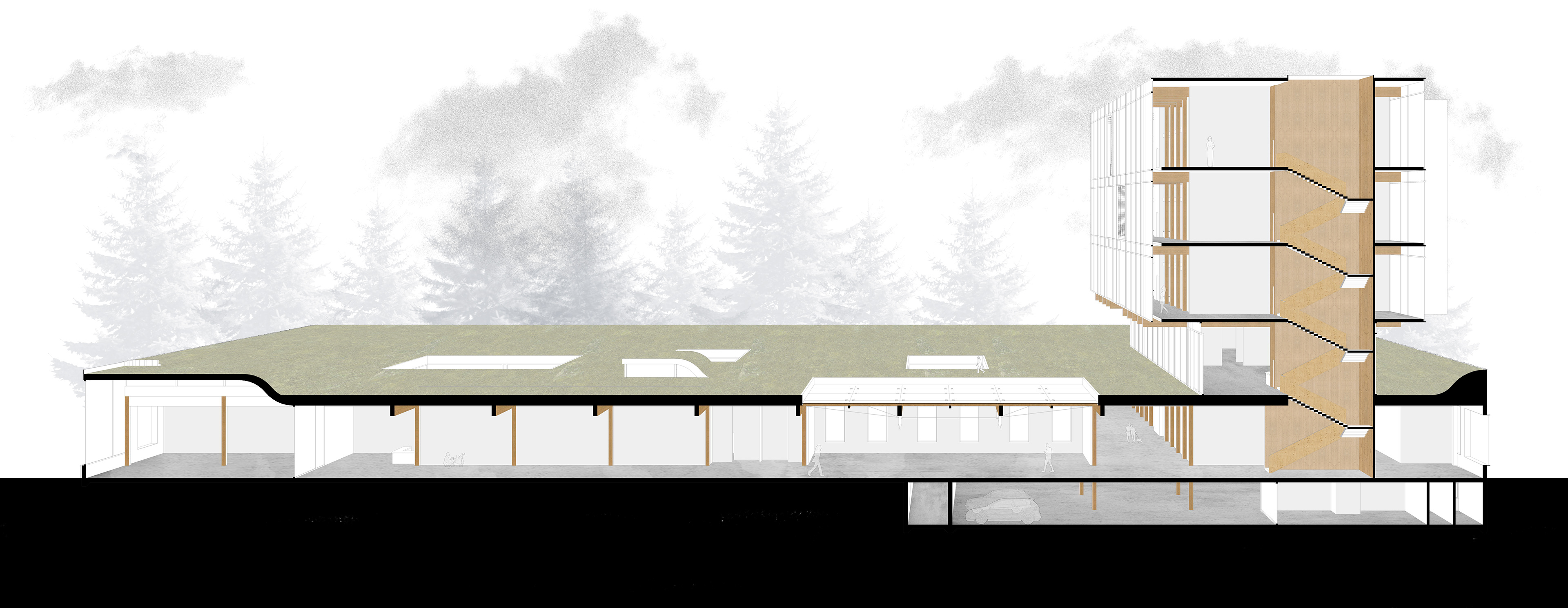 the structural system combines 3 ply CLT cores and floorplates, with a glulam post and beam frame, supporting four CLT 'boxes' that house the courtrooms