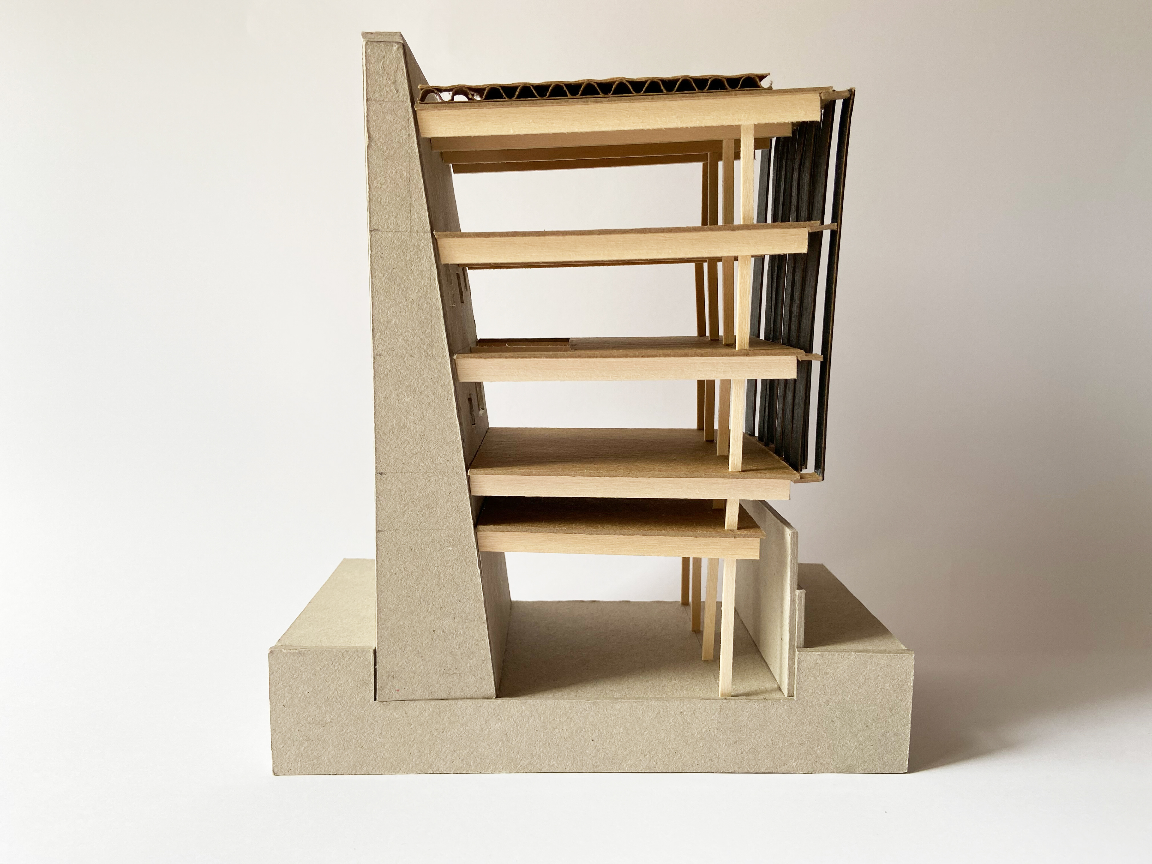 section model