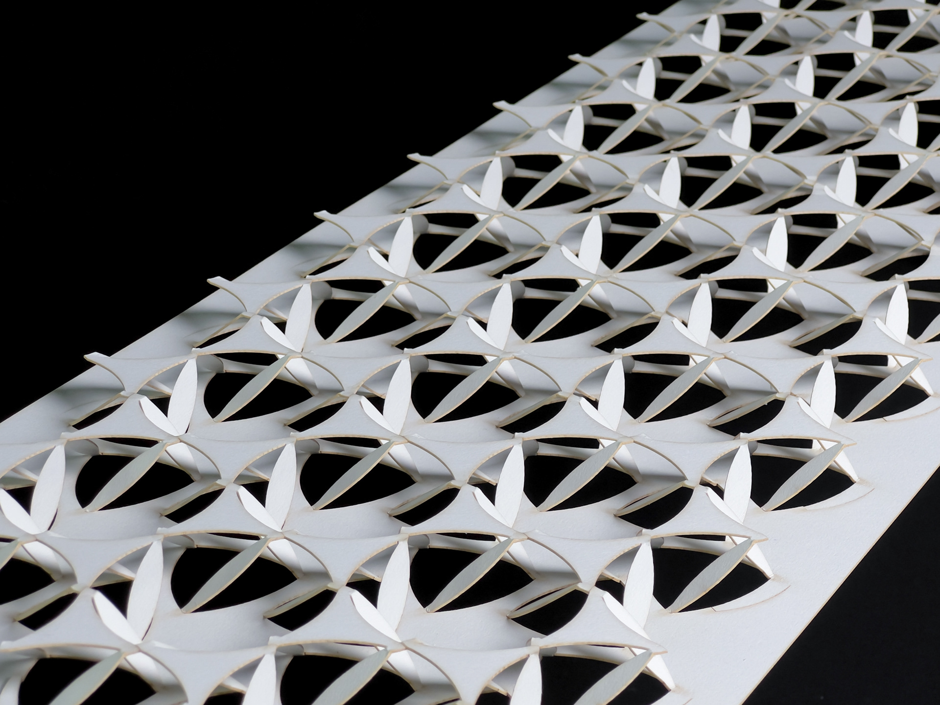 Photo credit: Isabel Moreira de Oliveira