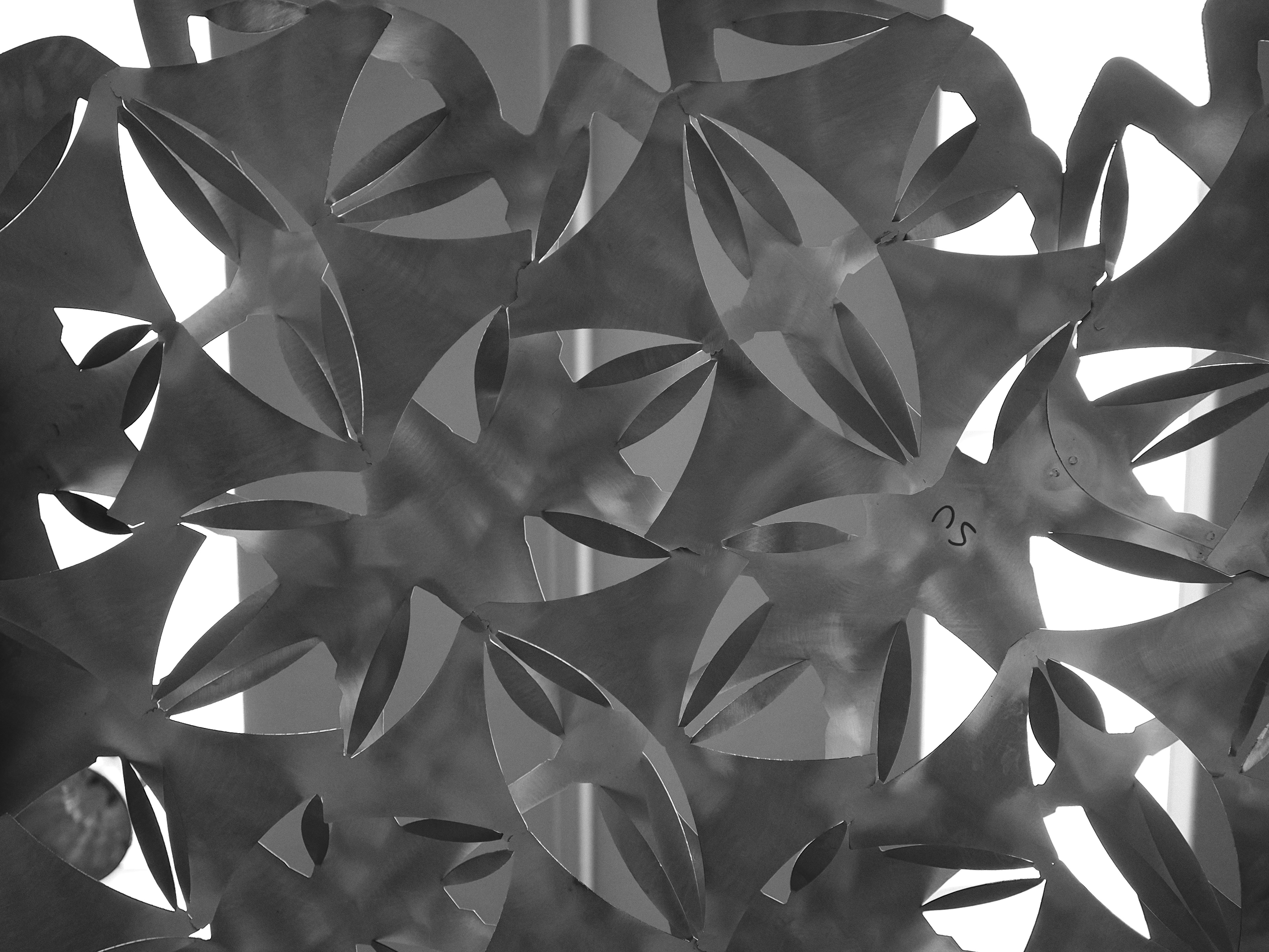 Photo credit: Rafael Pastrana