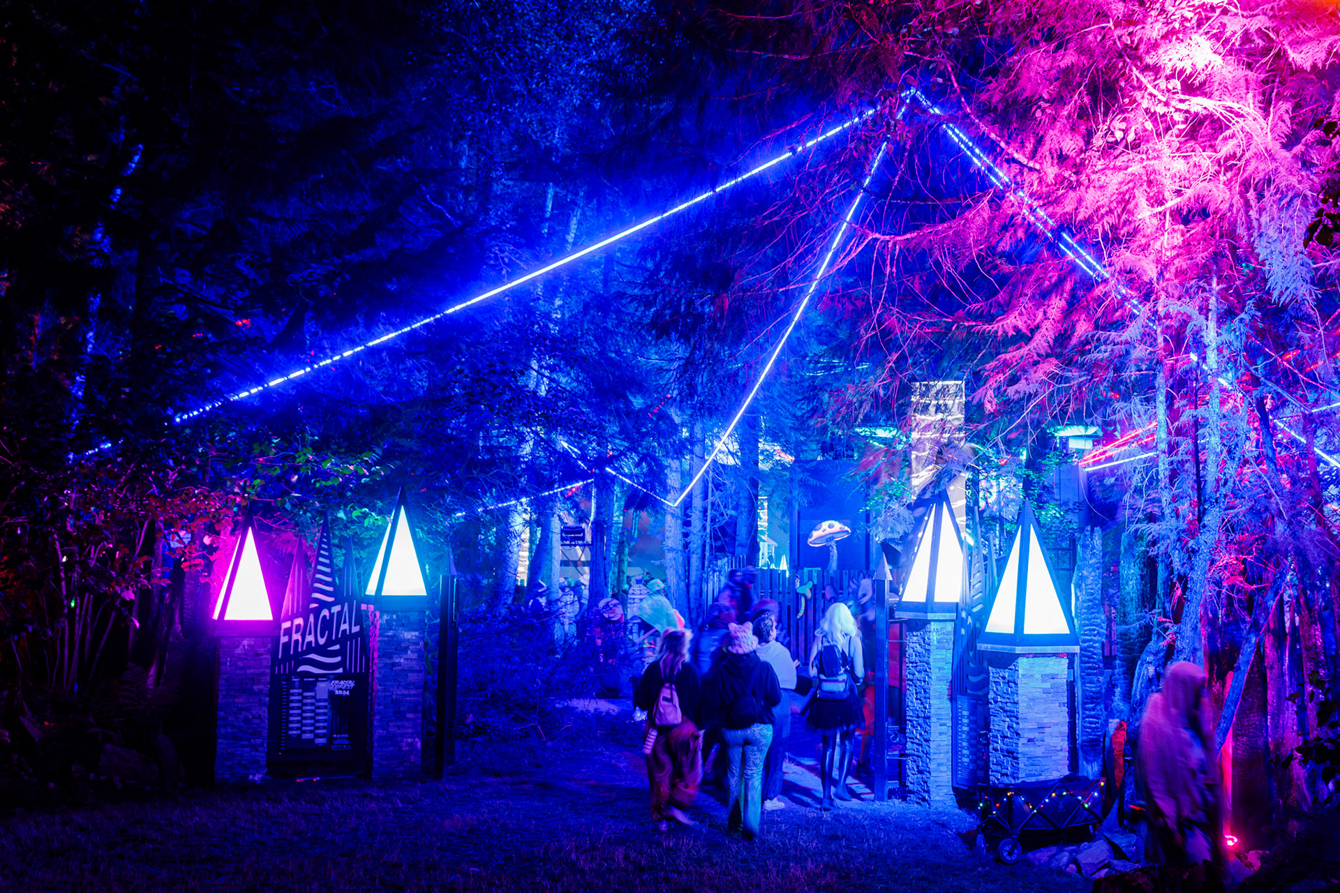 Fractal Forest | Shambhala