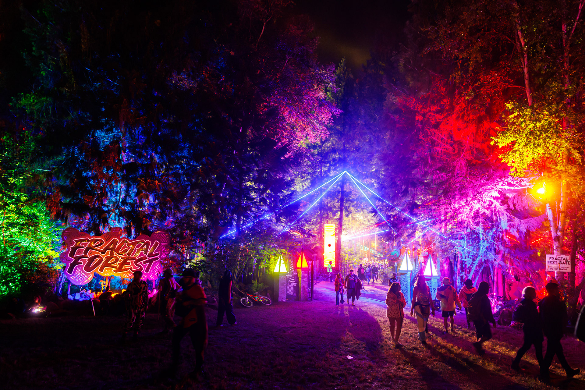 Fractal Forest | Shambhala