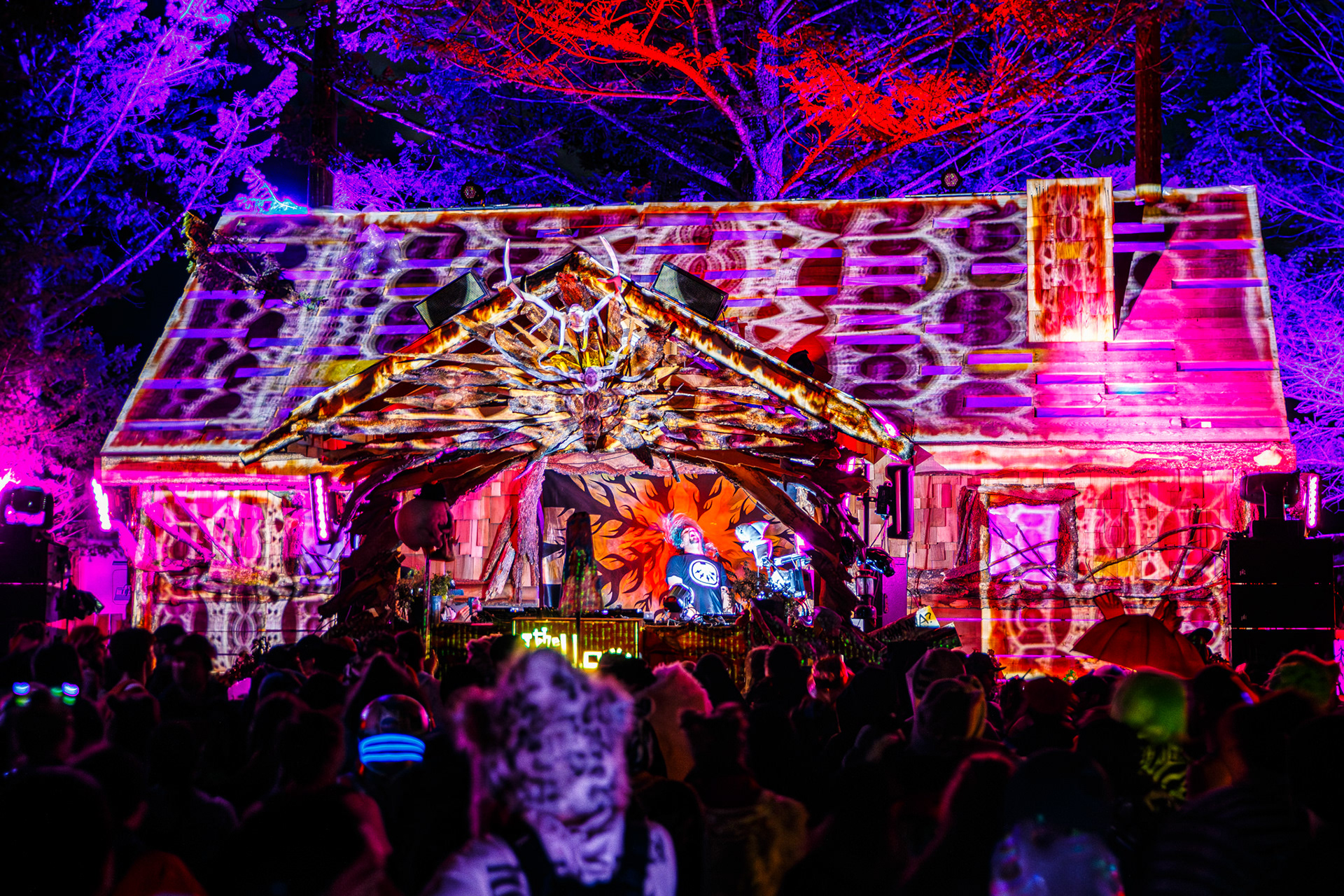 The Hallow | Wicked Woods