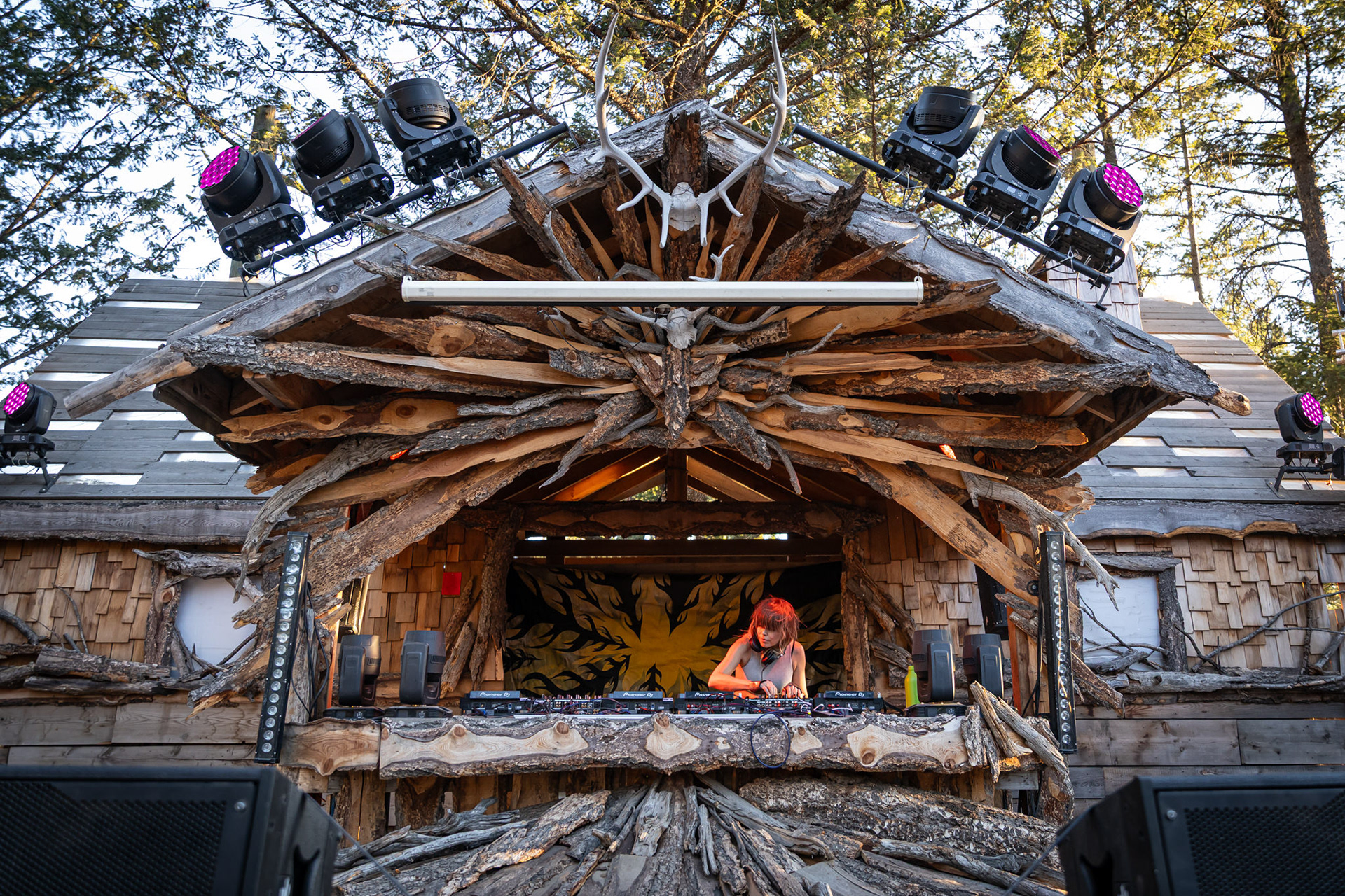 The Hallow | Wicked Woods