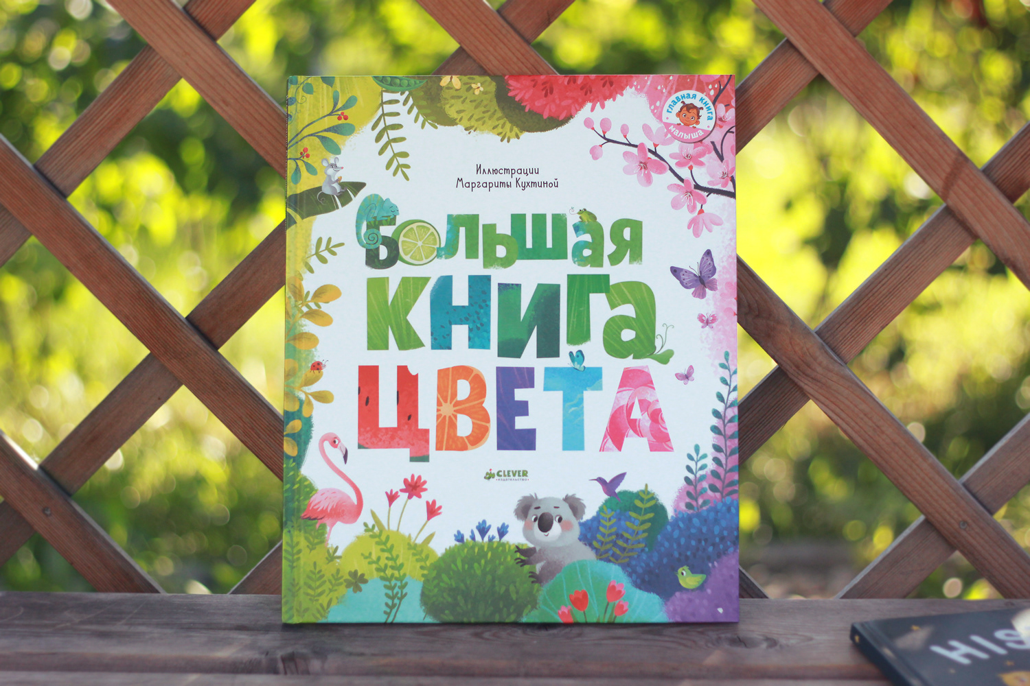 Книжка цвет. Клевер цвета книга. Большая книга. Цвета. Большая книга цвета Clever. Большая книга цвета Кухтиной.