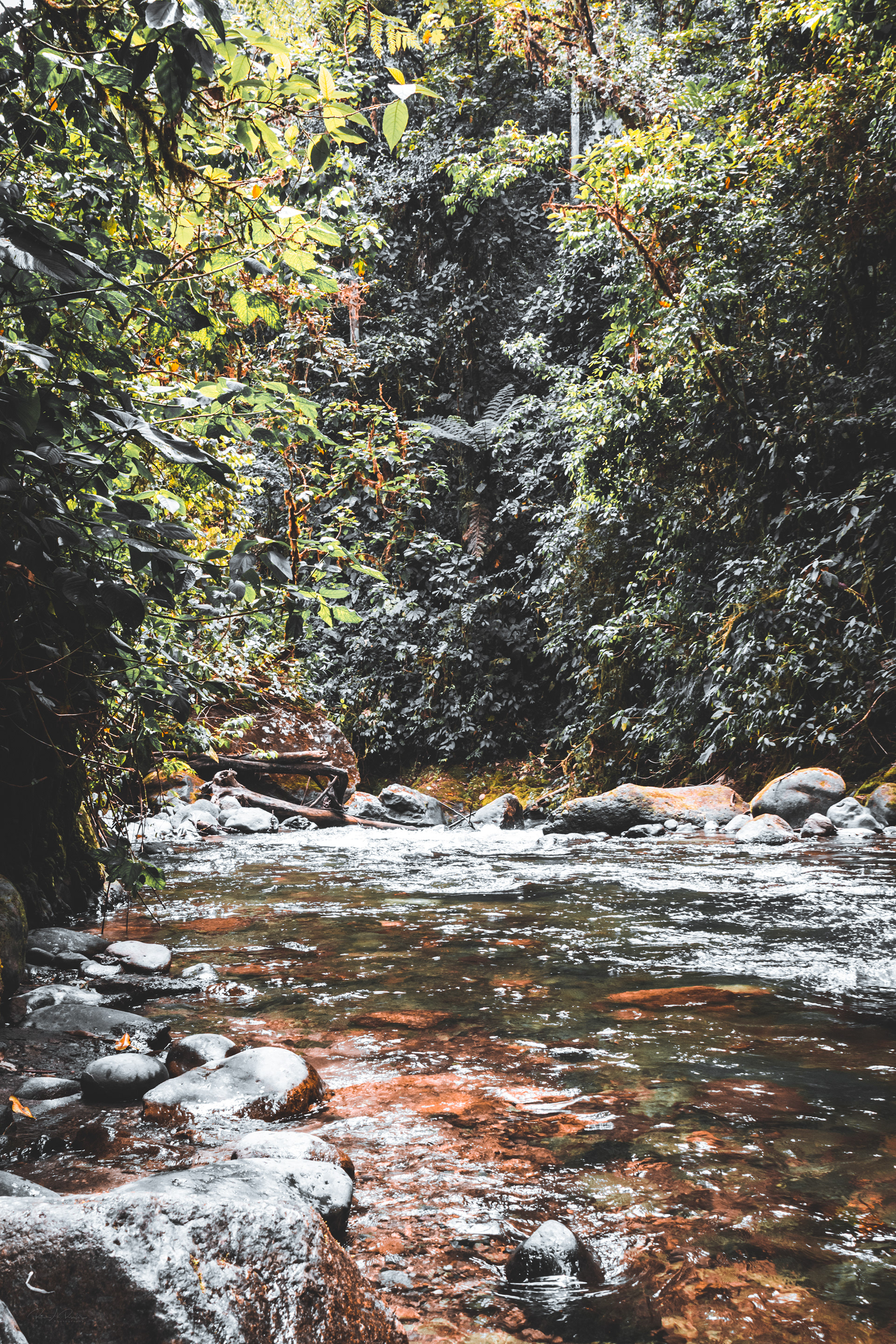 River in Mindo Ecuador