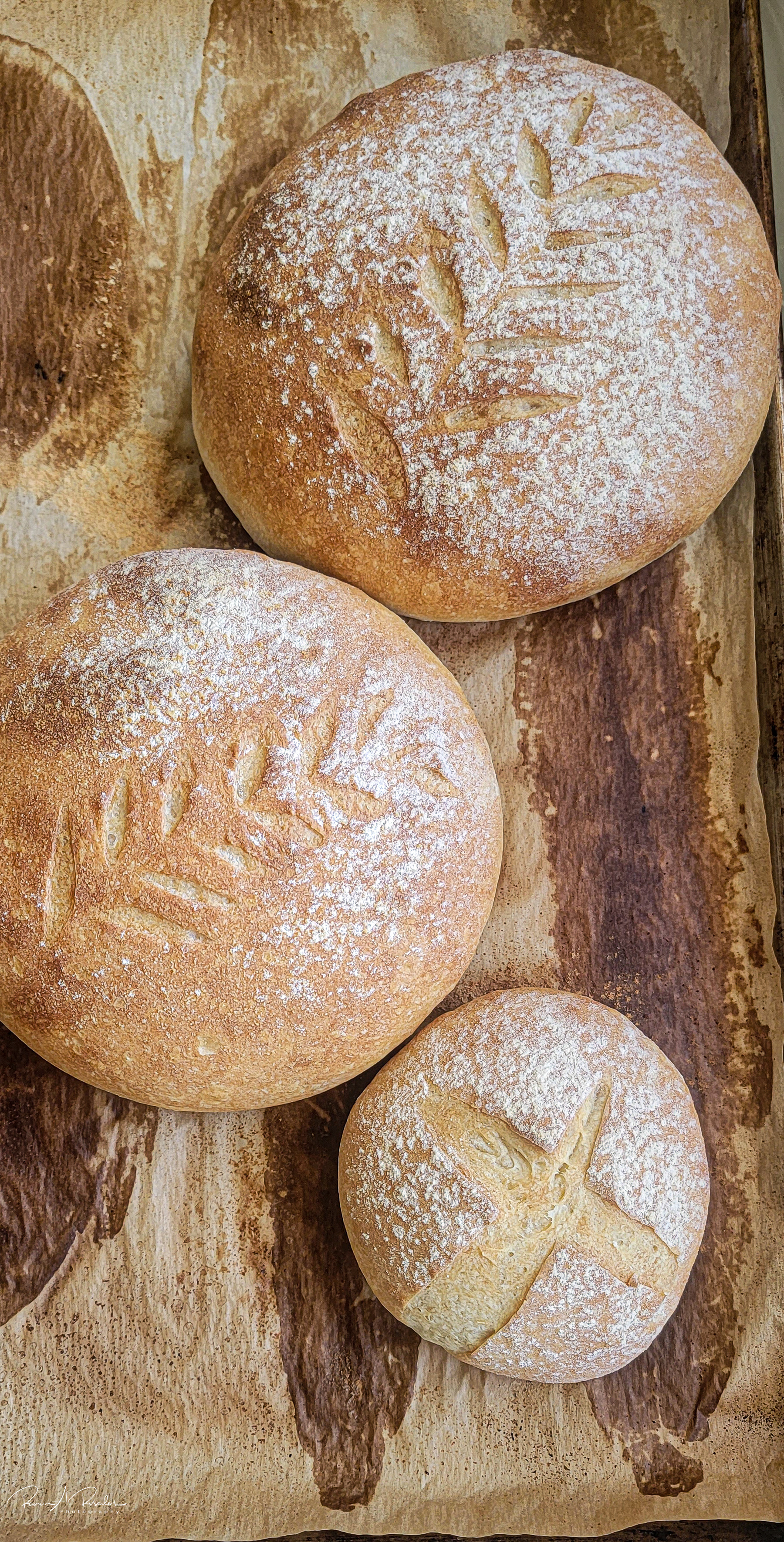 Sourdough Artisan Bread