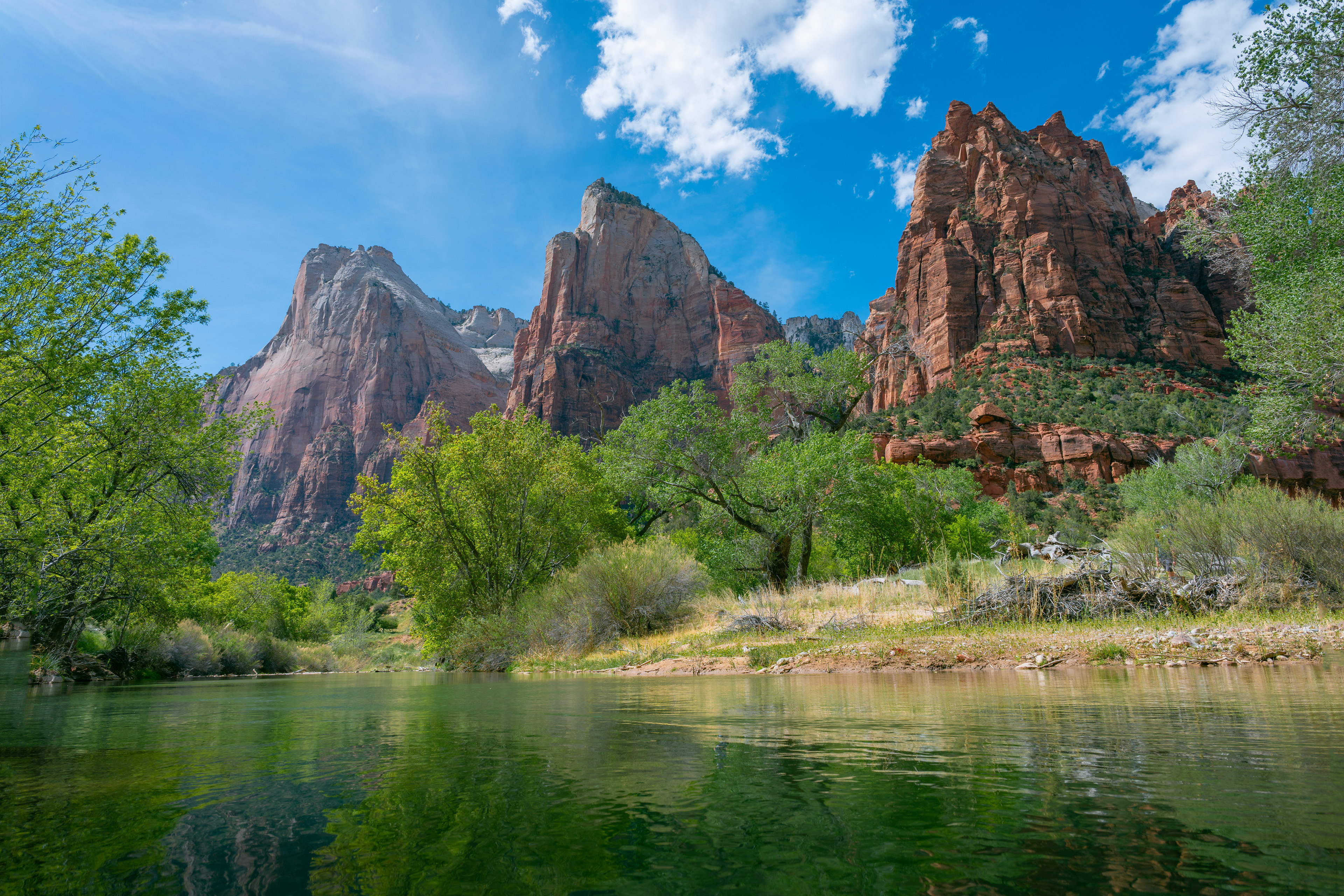 Zion NP