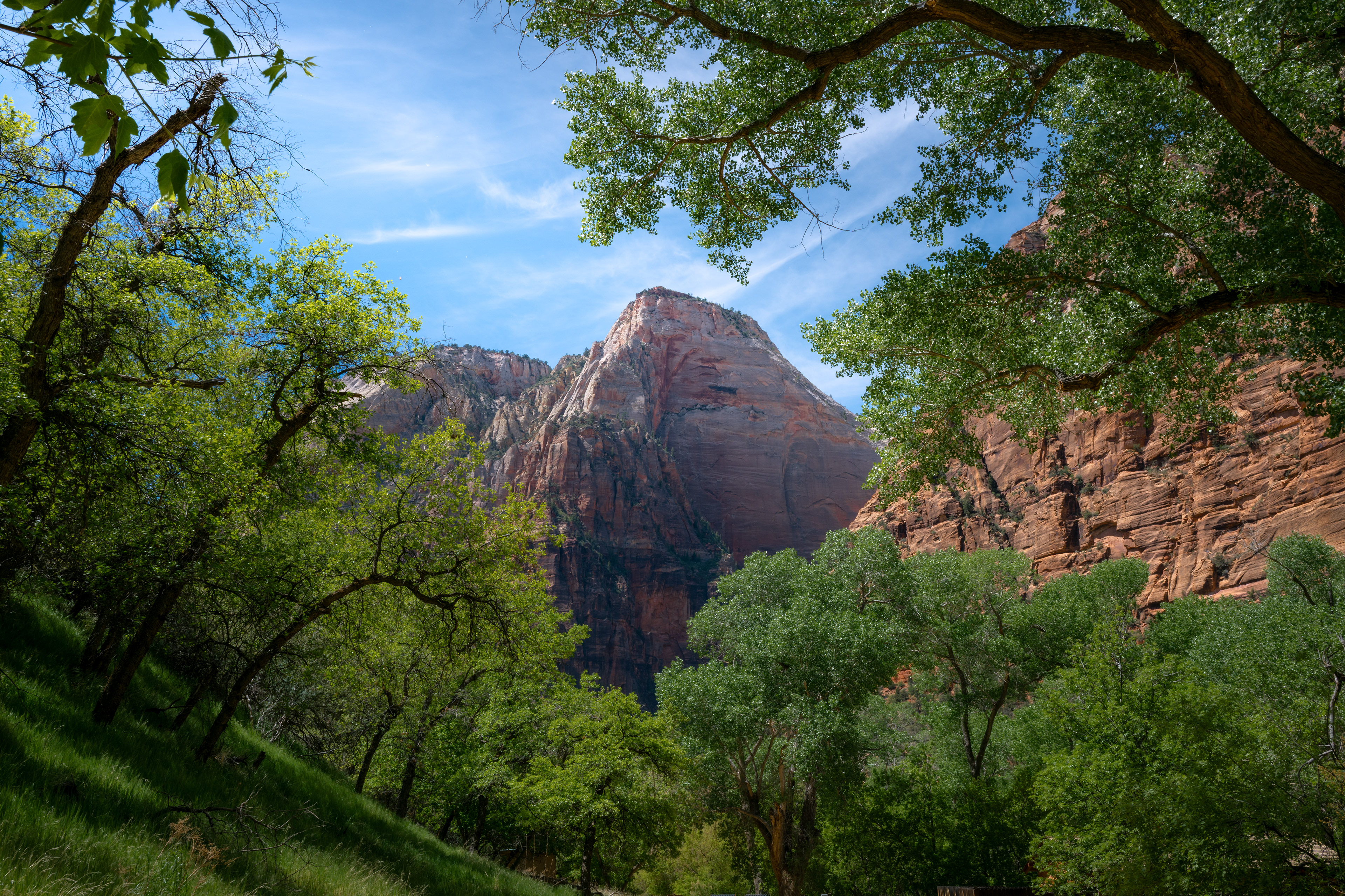 Zion NP